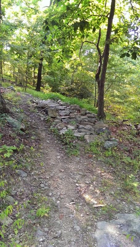 A narrow dirt path winding through a lush green forest, featuring a rustic stone structure on one side. Sunlight filters through the leaves, creating a serene and natural atmosphere. Emmitsburg Watershed mountain bike trail.