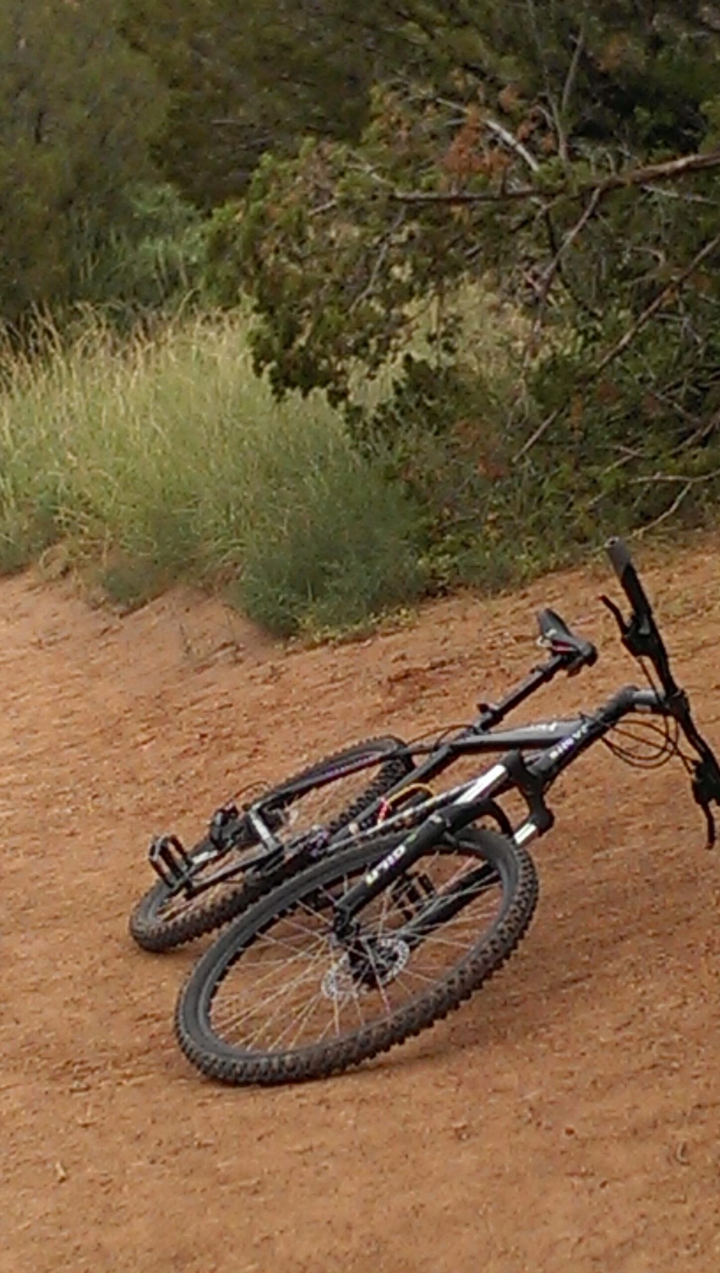 A pair of mountain bikes lying on a dirt trail surrounded by green grass and foliage. Palo Duro Canyon mountain bike trail.