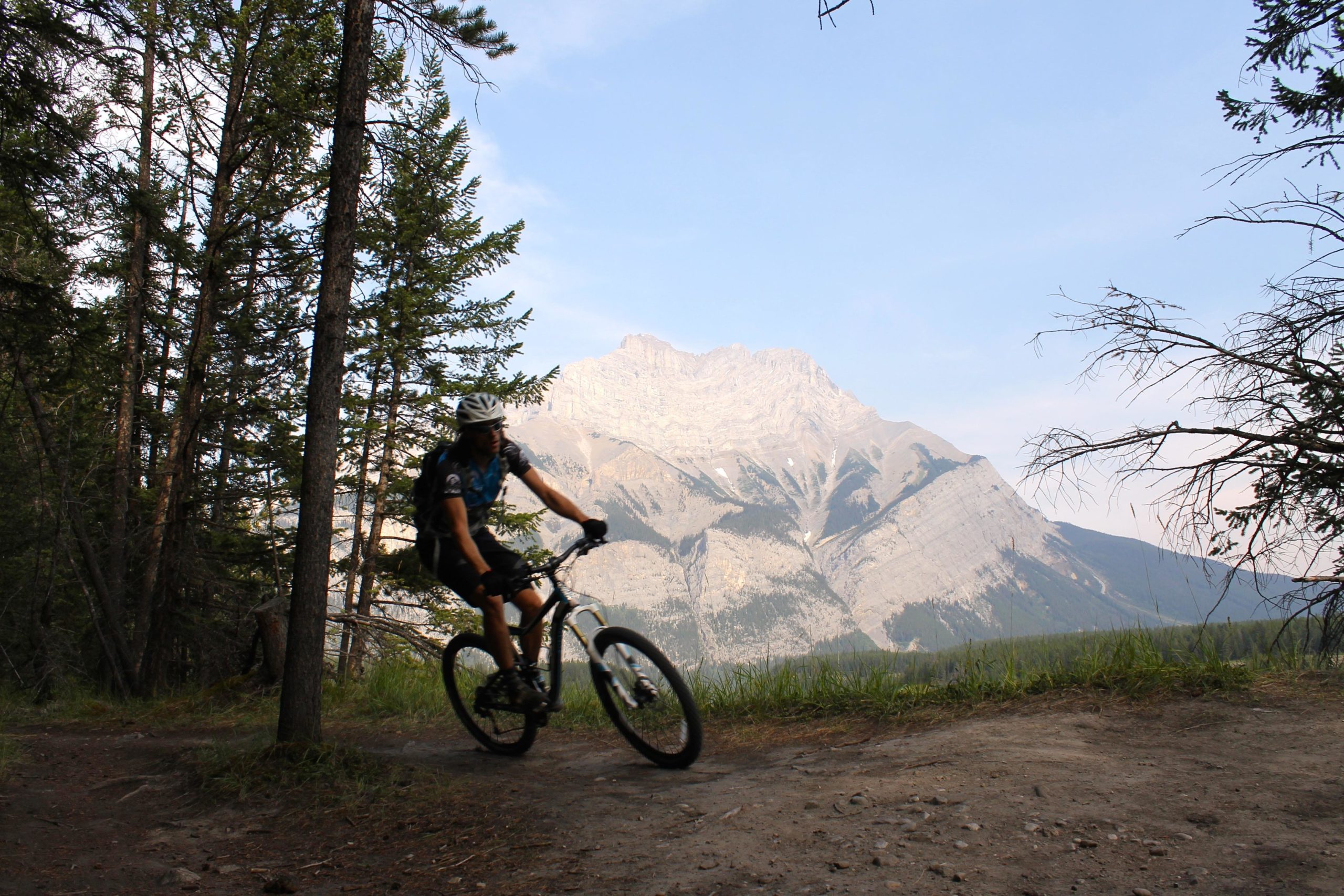 A mountain biker riding on a dirt trail through a forest, with tall trees on either side and a mountainous landscape in the background under a clear sky. Tunnel Mountain Trail System mountain bike trail.
