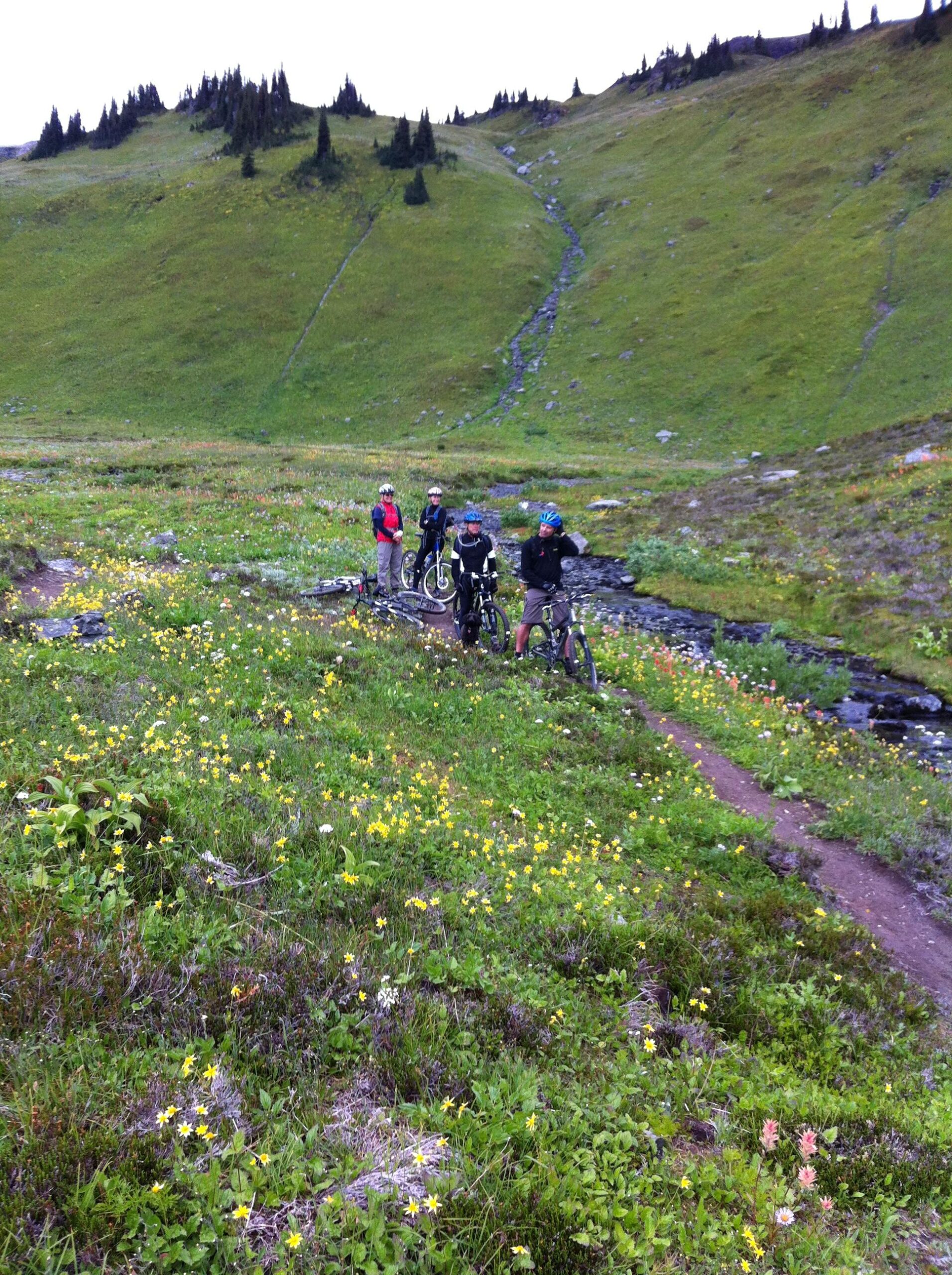 Four mountain bikers pause along a lush green trail adorned with vibrant wildflowers. They are surrounded by rolling hills and a gentle stream flows nearby. The bikers are wearing helmets and casual outdoor clothing. Keystone Standard Basin mountain bike trail.