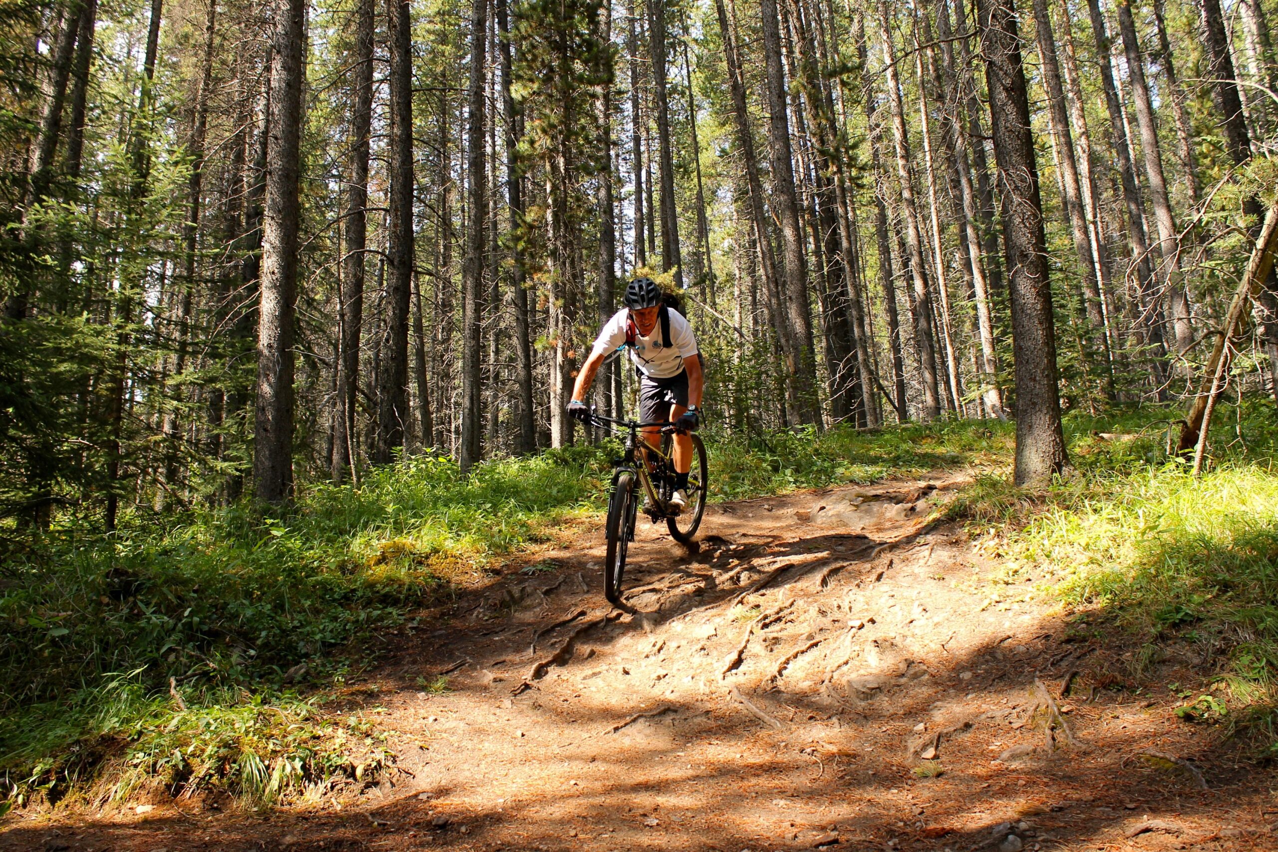 A mountain biker navigating a rocky trail through a dense forest, surrounded by tall trees and greenery. The cyclist is focused on maintaining balance as they ride along the uneven terrain. Canmore Nordic Centre mountain bike trail.