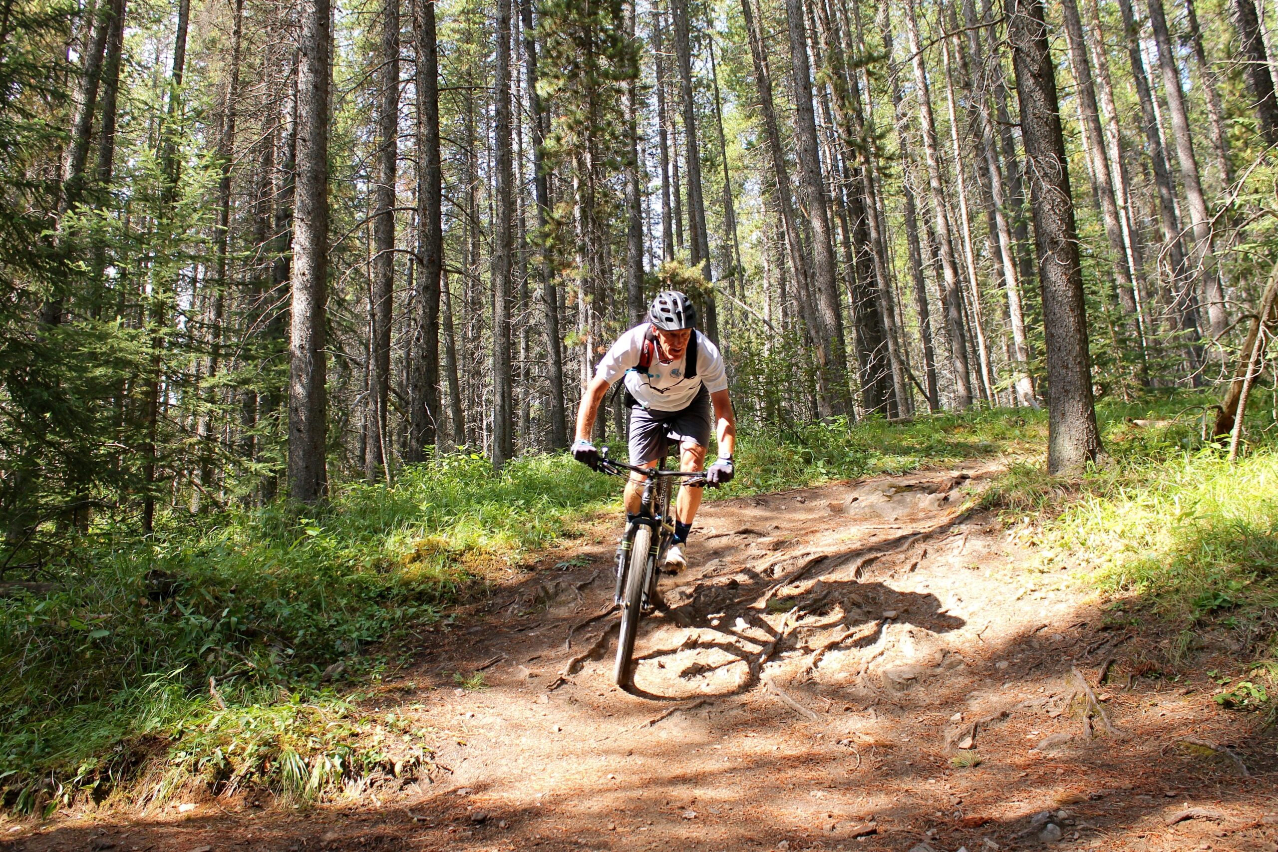 A mountain biker navigates a forest trail, leaning forward as he rides over a dirt path surrounded by tall trees and lush greenery. Sunlight filters through the canopy, illuminating the scene and highlighting the rugged terrain. Canmore Nordic Centre mountain bike trail.