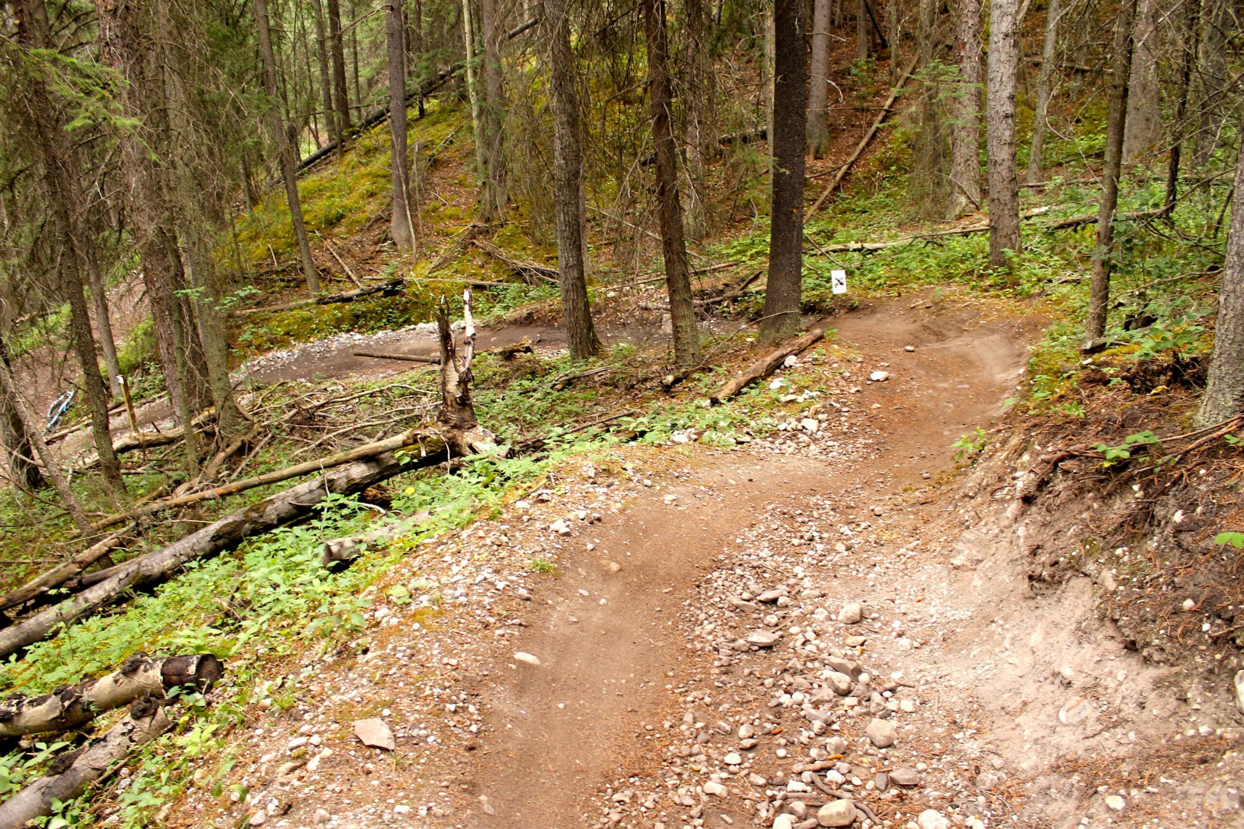 A winding dirt trail through a dense forest, surrounded by trees and scattered rocks. The path curves gently, leading deeper into the woods, with patches of green foliage and fallen logs visible along the sides. Canmore Nordic Centre mountain bike trail.