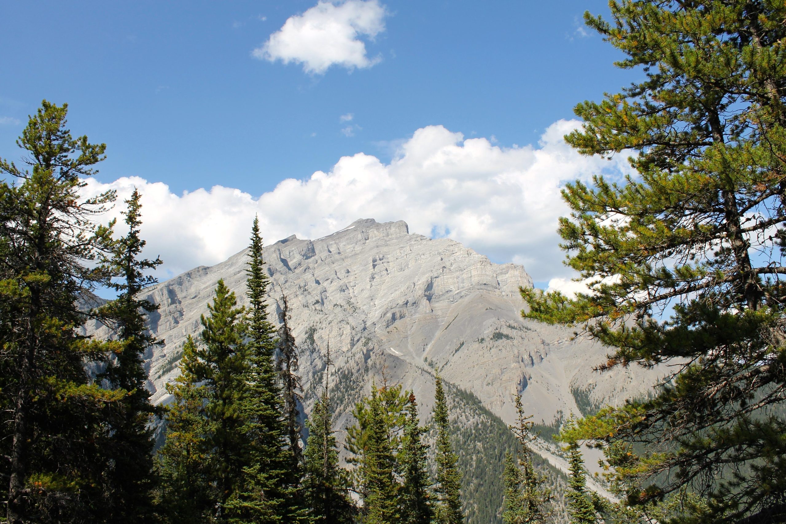 A scenic view of a rugged mountain peak surrounded by evergreen trees, set against a bright blue sky with scattered clouds. The landscape features rocky slopes and a variety of lush green foliage in the foreground. Stoney Squaw Upper & Lower mountain bike trail.