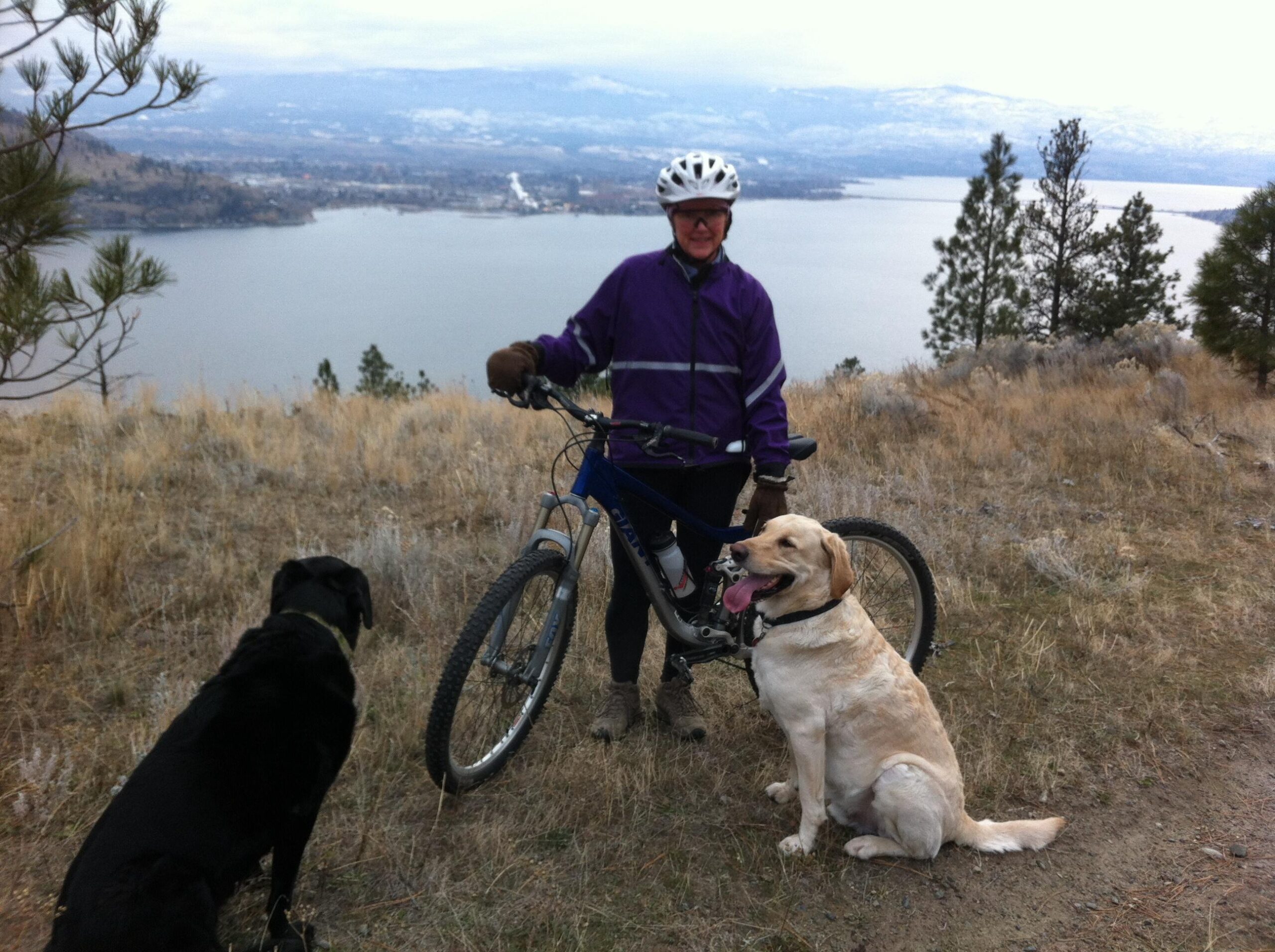A person wearing a purple jacket and a helmet stands beside a mountain bike, smiling at the camera. Two dogs, one black and one yellow, sit nearby on a grassy hillside overlooking a lake and distant mountains. The scene is set in a natural outdoor environment with sparse vegetation. Sour Cherry Orchard mountain bike trail.