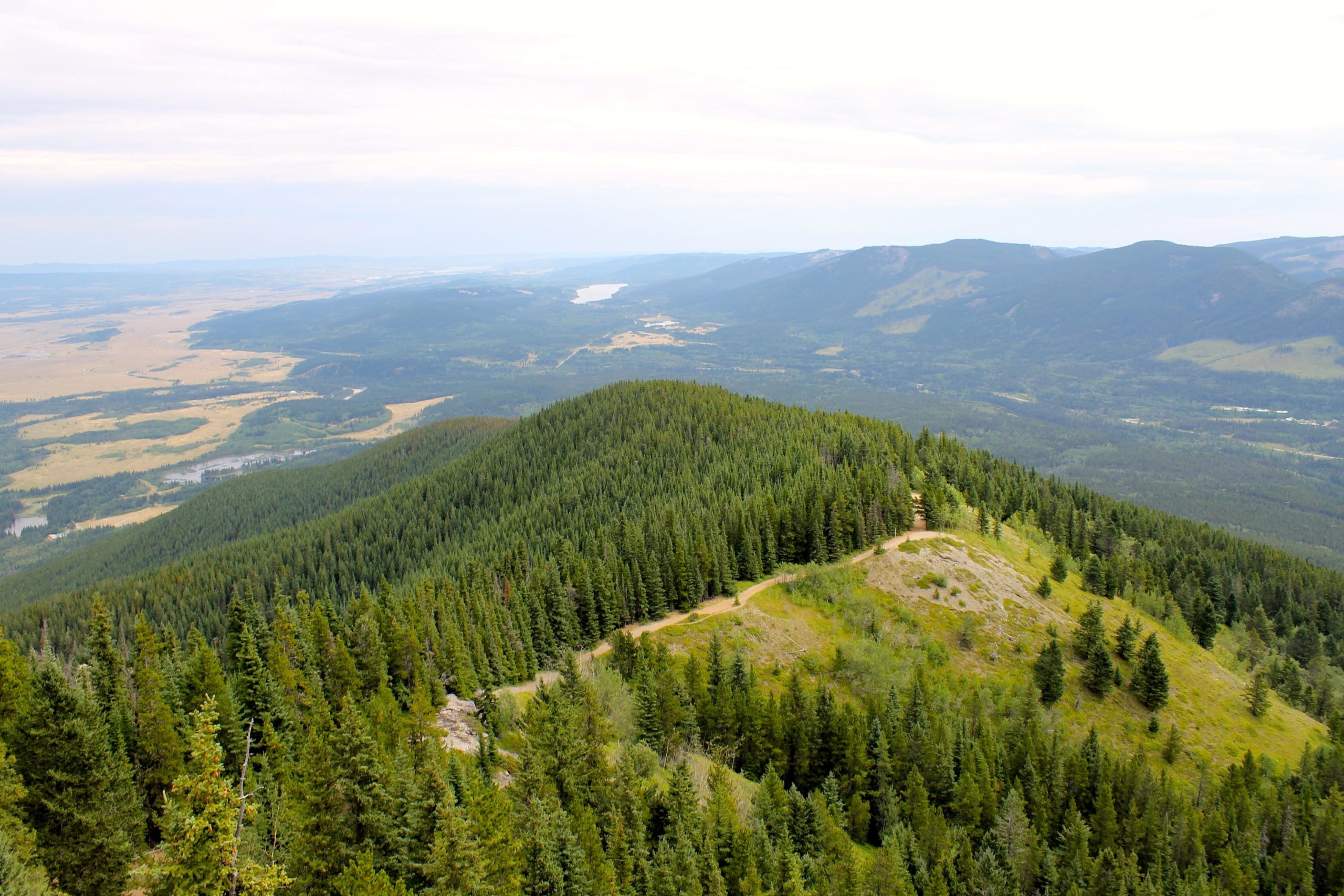A panoramic view of a lush green landscape featuring rolling hills covered in dense coniferous forests, with a winding path visible on the right. In the distance, the horizon showcases a mix of valleys and mountains under a cloudy sky. A river and a lake can be seen in the valley below, emphasizing the natural beauty of the area. Prairie View mountain bike trail.