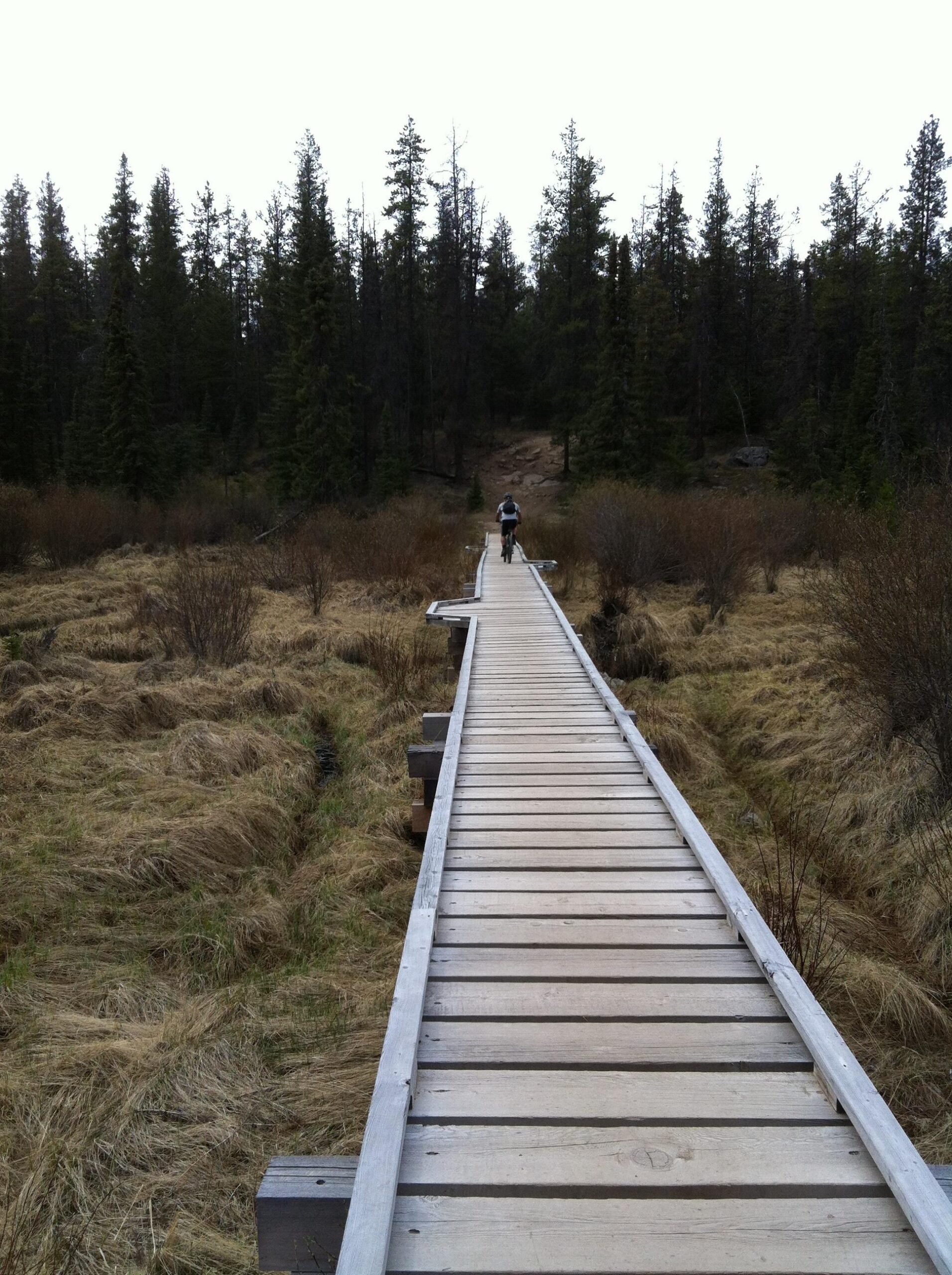 A wooden boardwalk extends through a grassy, marshy area, leading into a forest of tall evergreen trees. A person can be seen walking on the boardwalk, which provides a path over the wetland terrain. The scene is set under a cloudy sky, emphasizing the natural beauty of the landscape. Big Sweat (Valley of the Five Lakes / Wabasso) mountain bike trail.