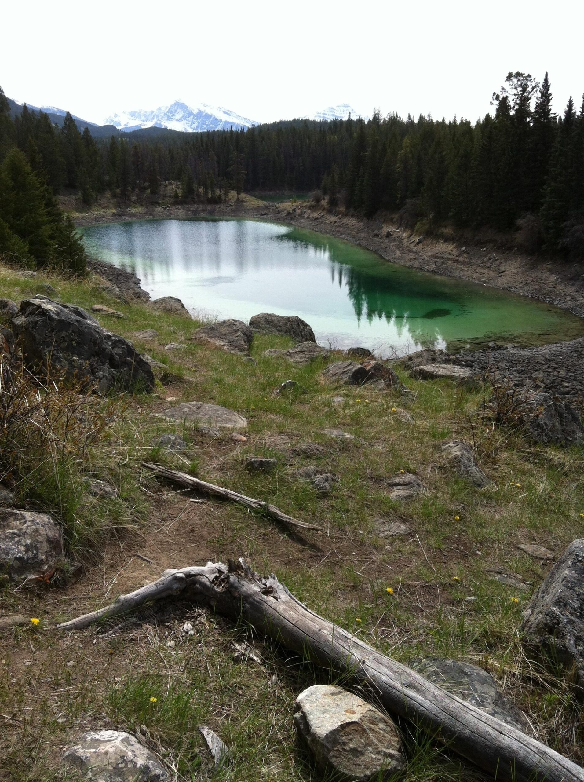 A serene lake surrounded by rocky terrain and pine trees, with snow-capped mountains in the background. The lake features a tranquil, greenish hue reflecting the sky and nearby foliage, and the foreground includes grass, scattered stones, and a fallen log. Big Sweat (Valley of the Five Lakes / Wabasso) mountain bike trail.