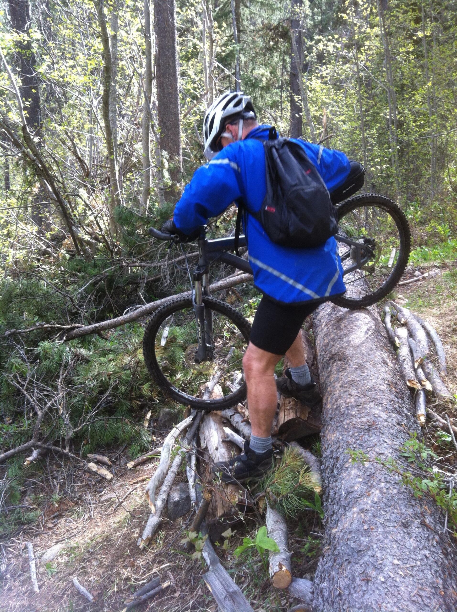 A mountain biker in a blue jacket and helmet is maneuvering over a fallen log on a forest trail, carrying a mountain bike. The background features trees and foliage, indicating a natural outdoor setting. 20-mile loop / Saturday Night Lake Loop mountain bike trail.