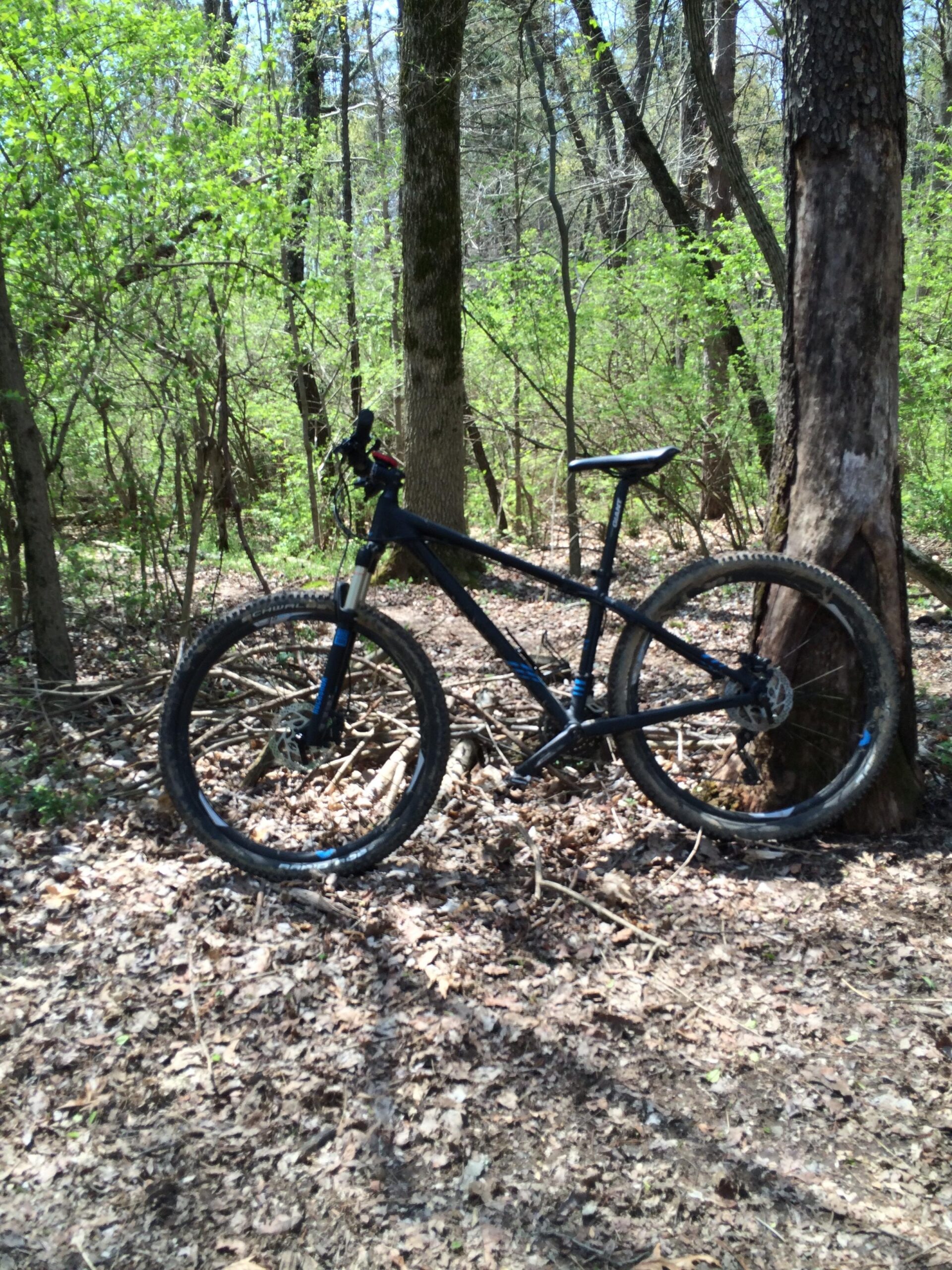 Giant Talon 27.5 1: A mountain bike leaning against a tree in a wooded area, surrounded by greenery and fallen leaves on the ground.