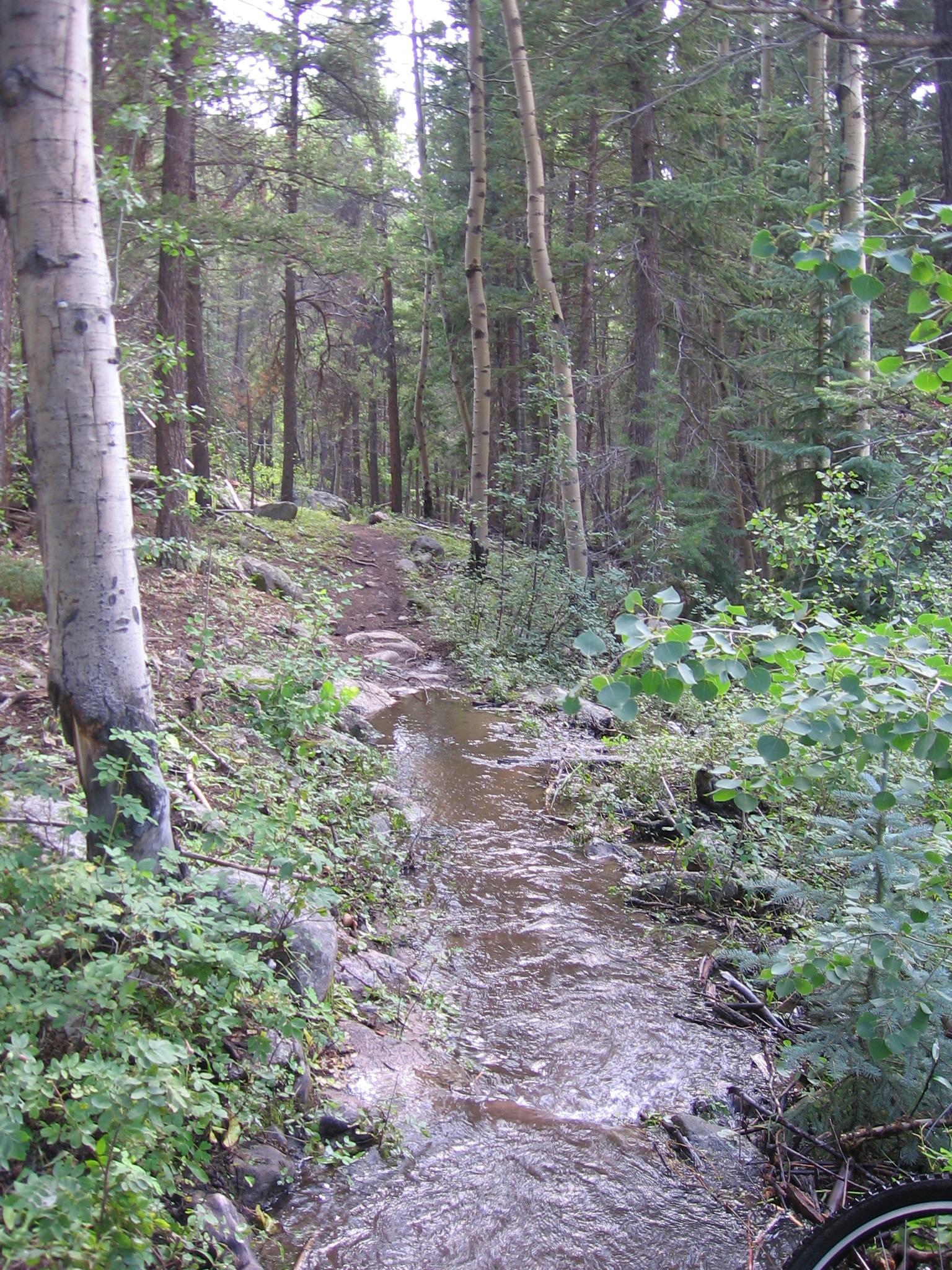A narrow, winding trail through a lush forest, flanked by tall trees and a small stream of flowing water. Green foliage and rocks line the path, creating a serene natural atmosphere. Agate Creek mountain bike trail.