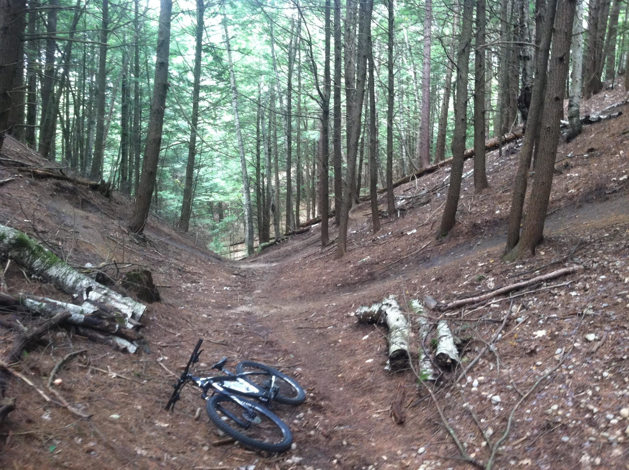 A mountain bike lying on a dirt trail surrounded by tall pine trees in a forest setting, with a clear path leading deeper into the woods. Fallen branches and logs are scattered along the ground. Franklin Falls mountain bike trail.
