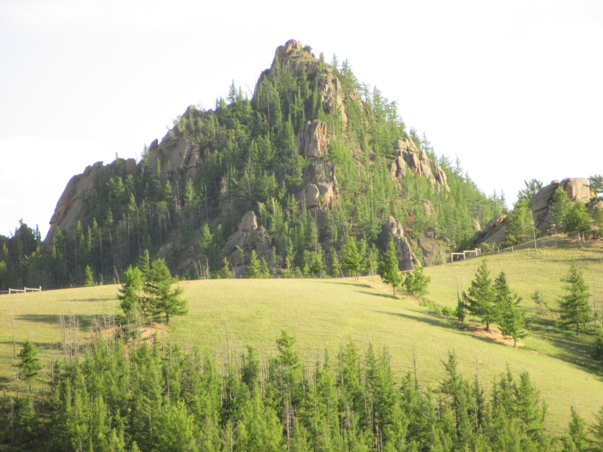 A rocky mountain peak surrounded by lush green trees and grassy hills under a partly cloudy sky. Camel Run mountain bike trail.