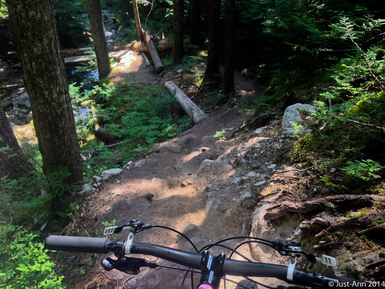 Alt text: A mountain biking perspective showing the handlebars of a bike in the foreground, with a winding dirt trail surrounded by trees and lush greenery in the background, alongside a rocky stream. Industrial Disease mountain bike trail.