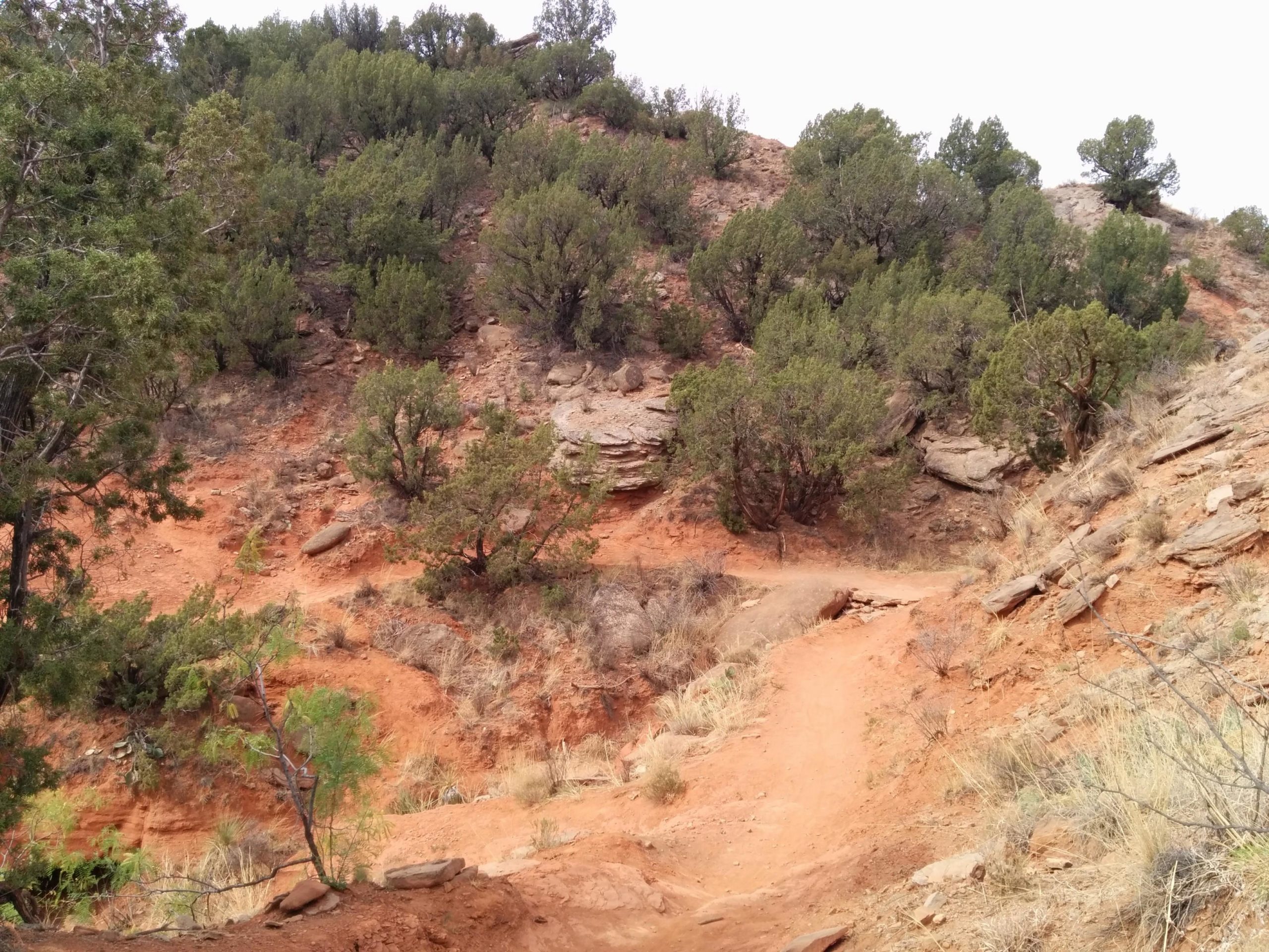 A winding dirt path leads through a rocky hillside, surrounded by green shrubs and small trees. The terrain features reddish-brown soil and stone formations, with patches of dry grass visible. The scene captures a natural landscape under a cloudy sky. Palo Duro Canyon mountain bike trail.