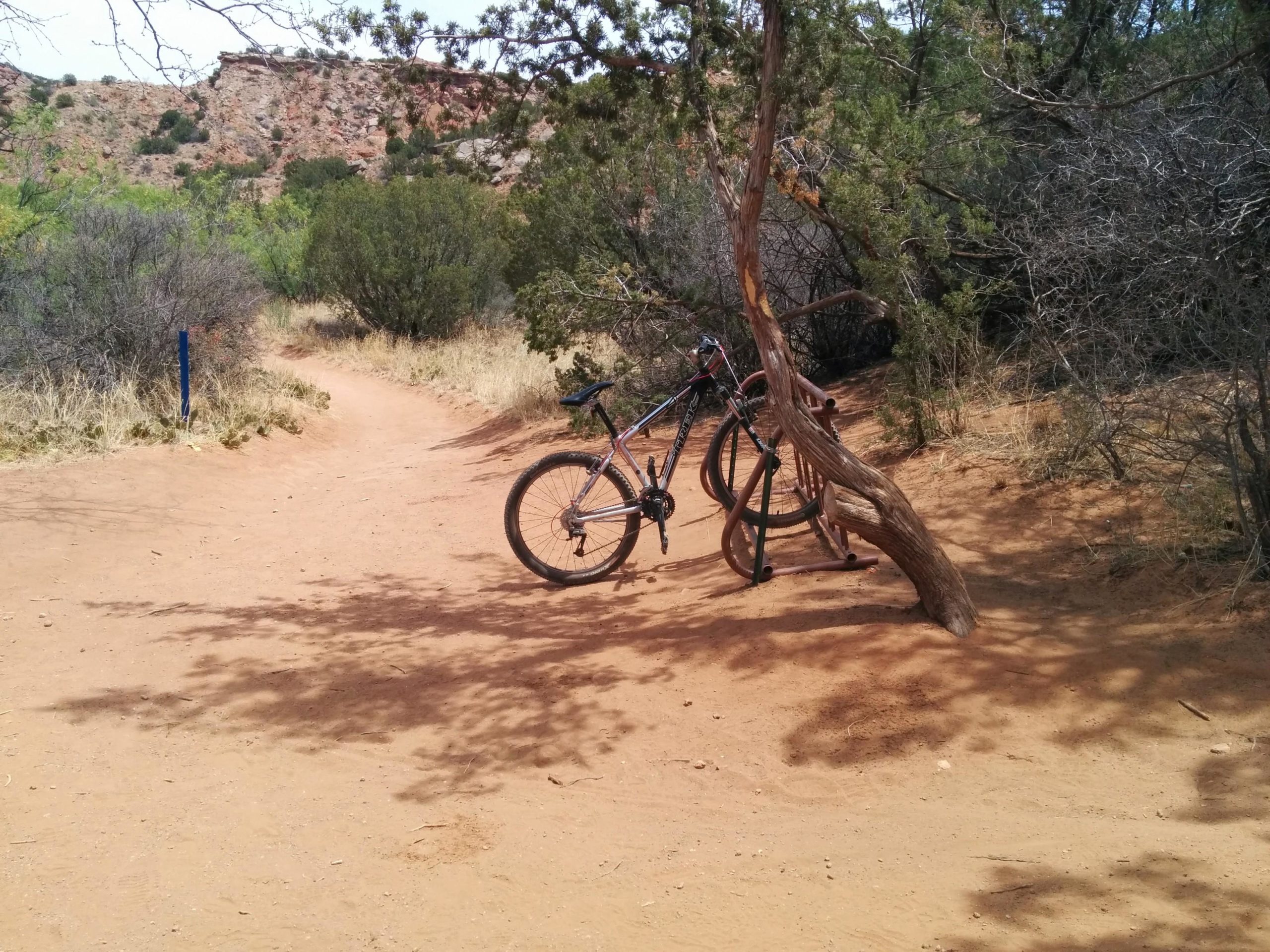 Two bicycles resting against a tree beside a dirt trail in a natural setting, surrounded by shrubs and rocky terrain. A blue trail marker is visible in the background. The scene is well-lit, indicating a sunny day. Palo Duro Canyon mountain bike trail.