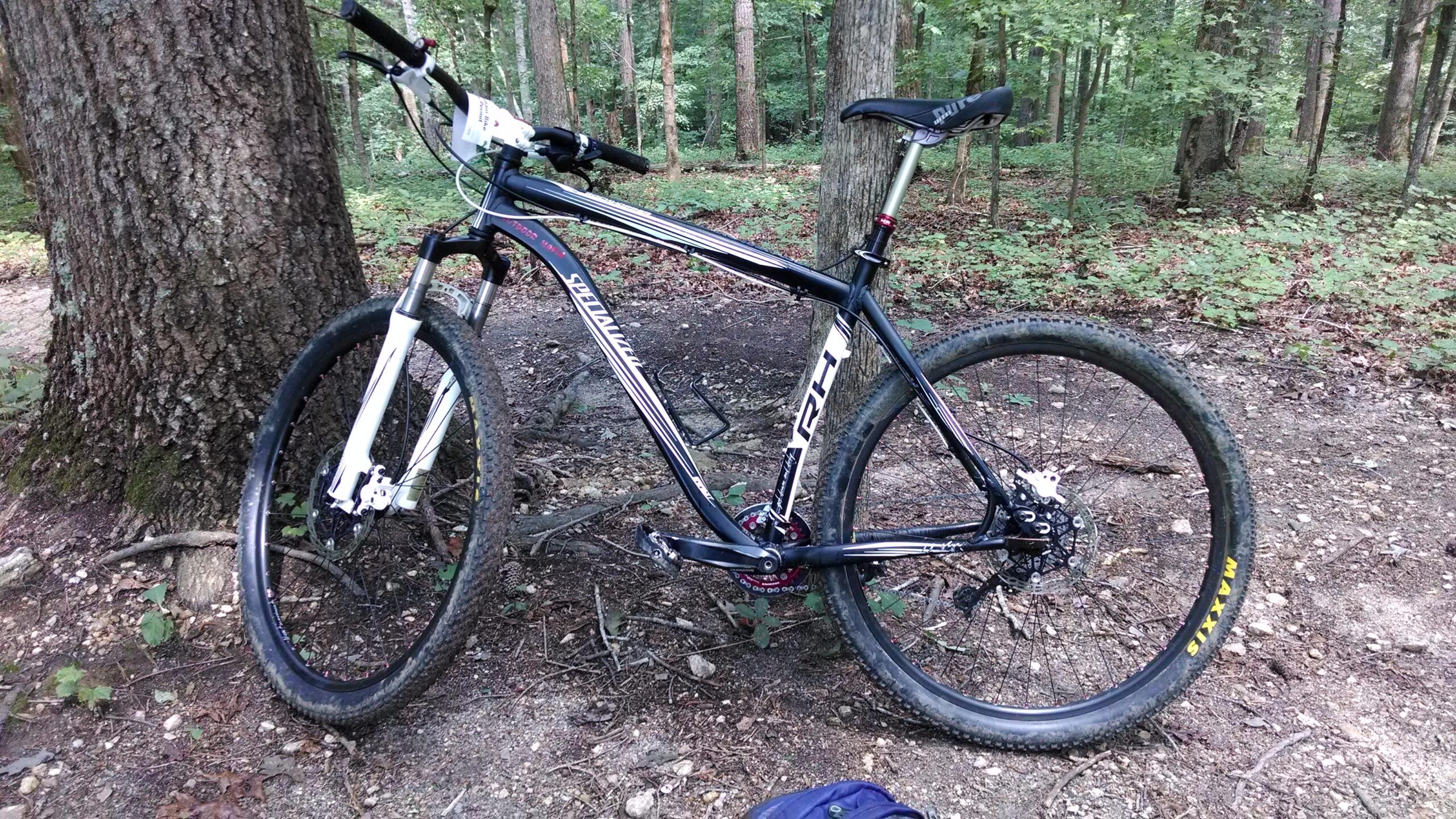 Specialized Rockhopper Comp 29: A mountain bike leaning against a tree in a wooded area. The bike features black and white frame colors, thick tires, and front suspension, resting on a dirt path surrounded by greenery and fallen leaves.