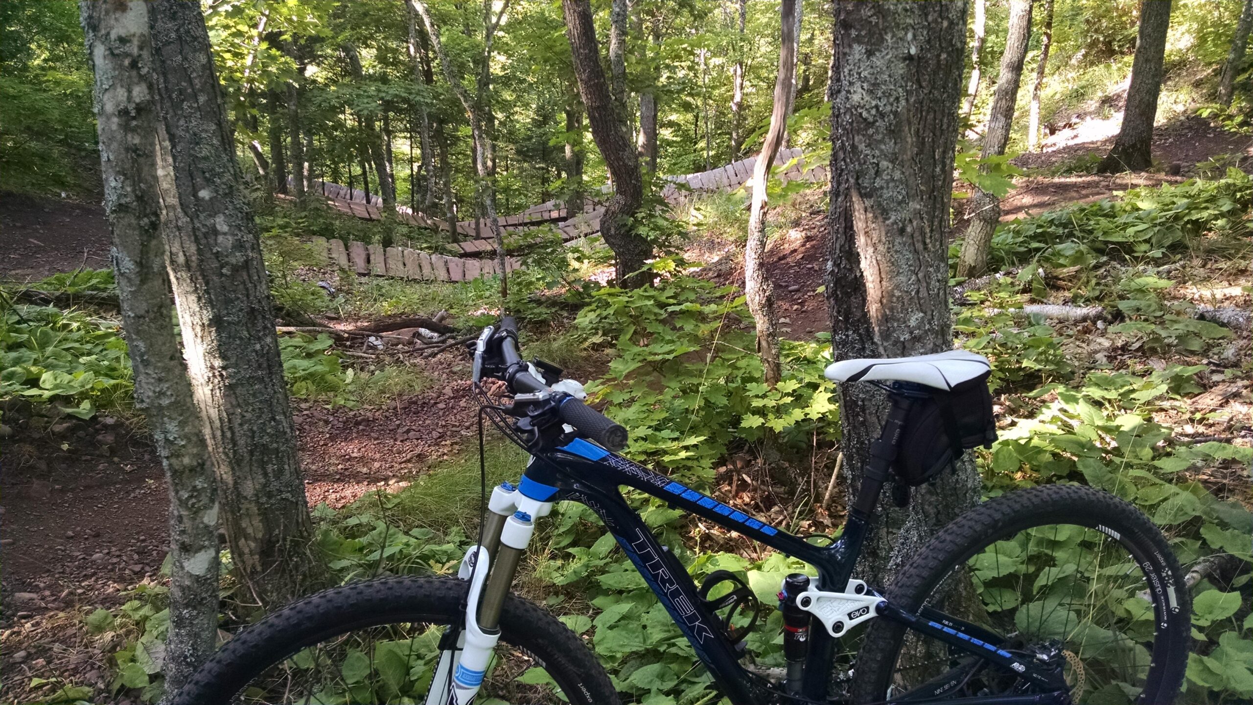 Trek Fuel EX 9.7 29: A mountain bike parked beside a tree in a lush, green forest. In the background, there is a winding wooden path through the trees, hinting at a biking trail. The ground is covered in leaves and small plants, with sunlight filtering through the branches above.