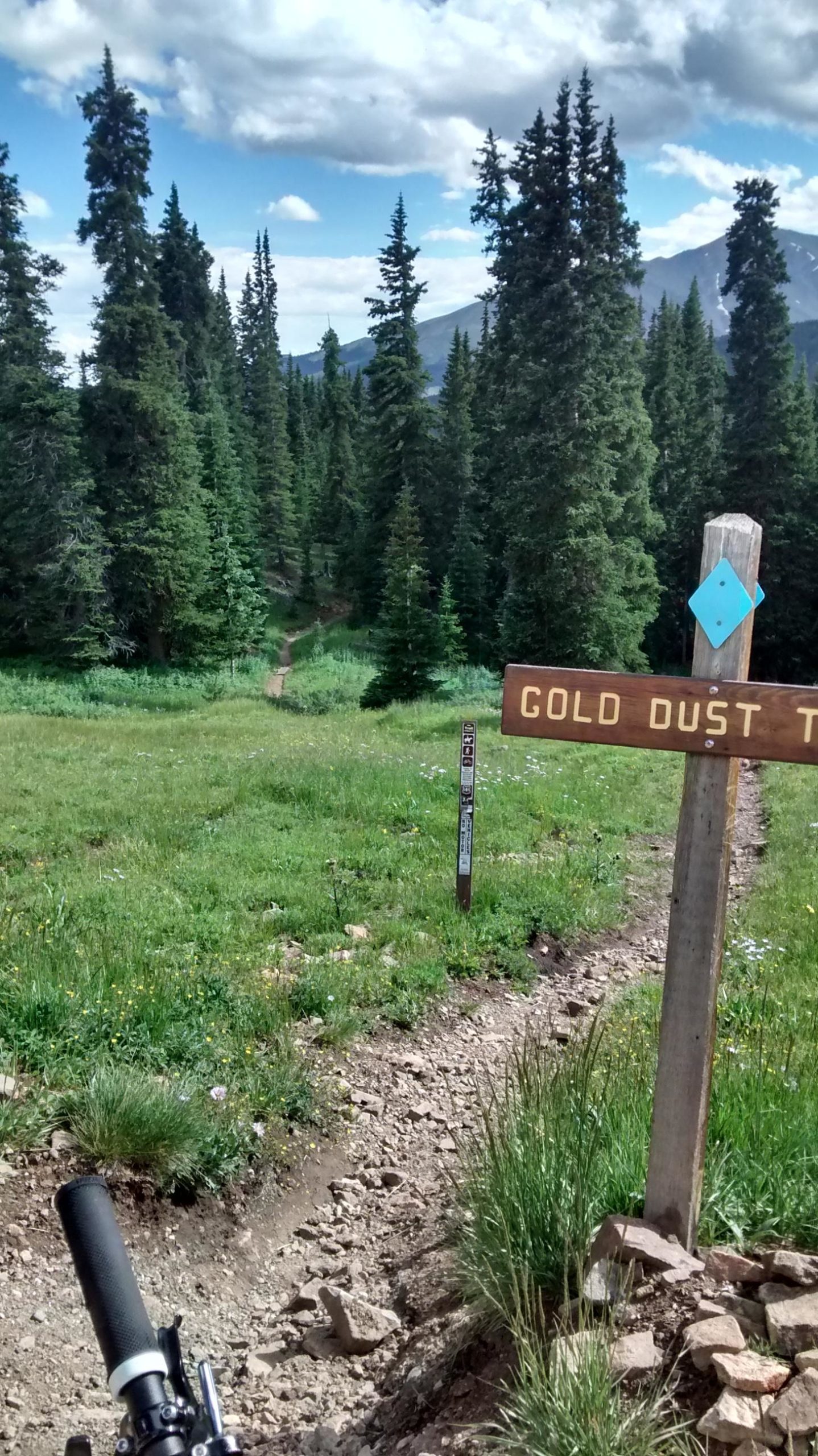 A dirt trail marked by a wooden sign that reads "Gold Dust Trail," surrounded by lush green grass and tall evergreen trees. A blue sky with fluffy clouds is visible in the background, and the trail appears to lead into the forested area. Gold Dust Trail mountain bike trail.