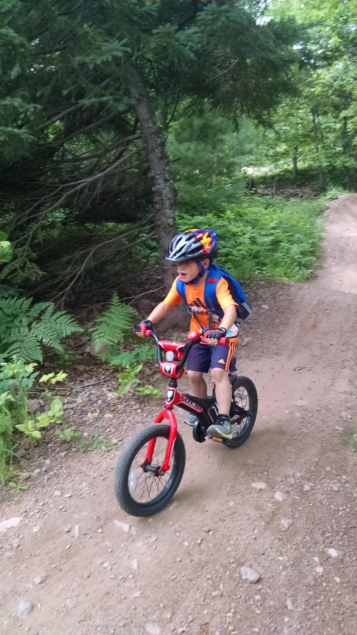 A young child wearing a colorful helmet, orange shirt, and shorts rides a red balance bike along a dirt path in a lush, green wooded area. The child appears focused and excited, with a blue backpack on their back and surrounded by ferns and trees. Michigan Tech Trails mountain bike trail.