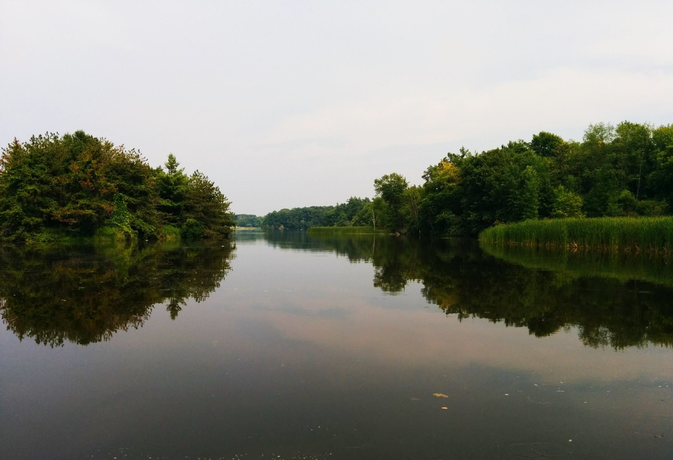 A calm, reflective view of a peaceful river surrounded by lush greenery and trees, with a light gray sky overhead. The water is still, mirroring the trees on both banks, creating a serene natural landscape. Christie Lake mountain bike trail.