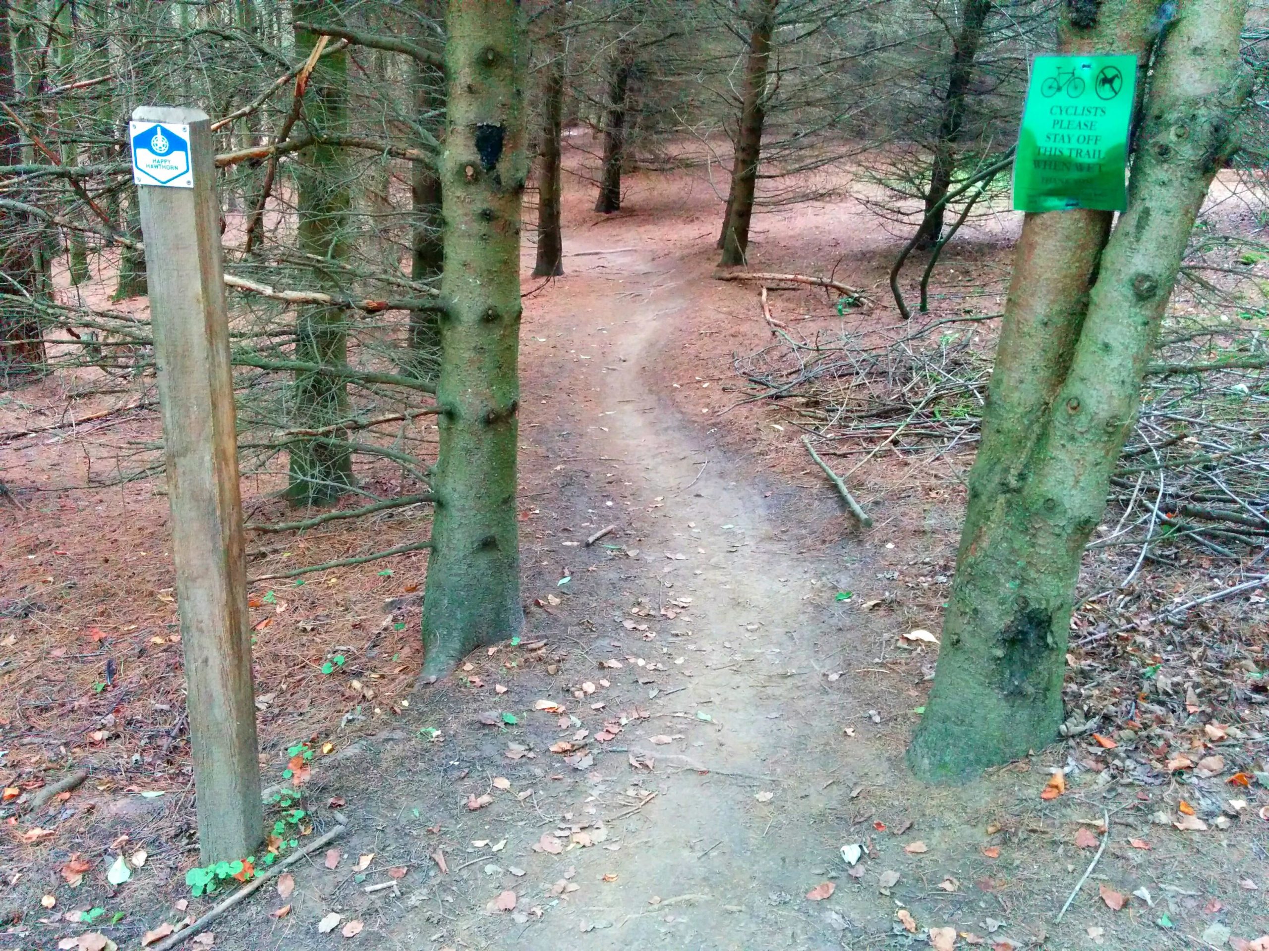 A dirt path winding through a forest with trees on either side. A wooden post with a blue hiking trail marker stands to the left, while a green sign on a tree warns cyclists to stay off the trail. The ground is covered with pine needles and fallen leaves, creating a natural forest floor. Christie Lake mountain bike trail.