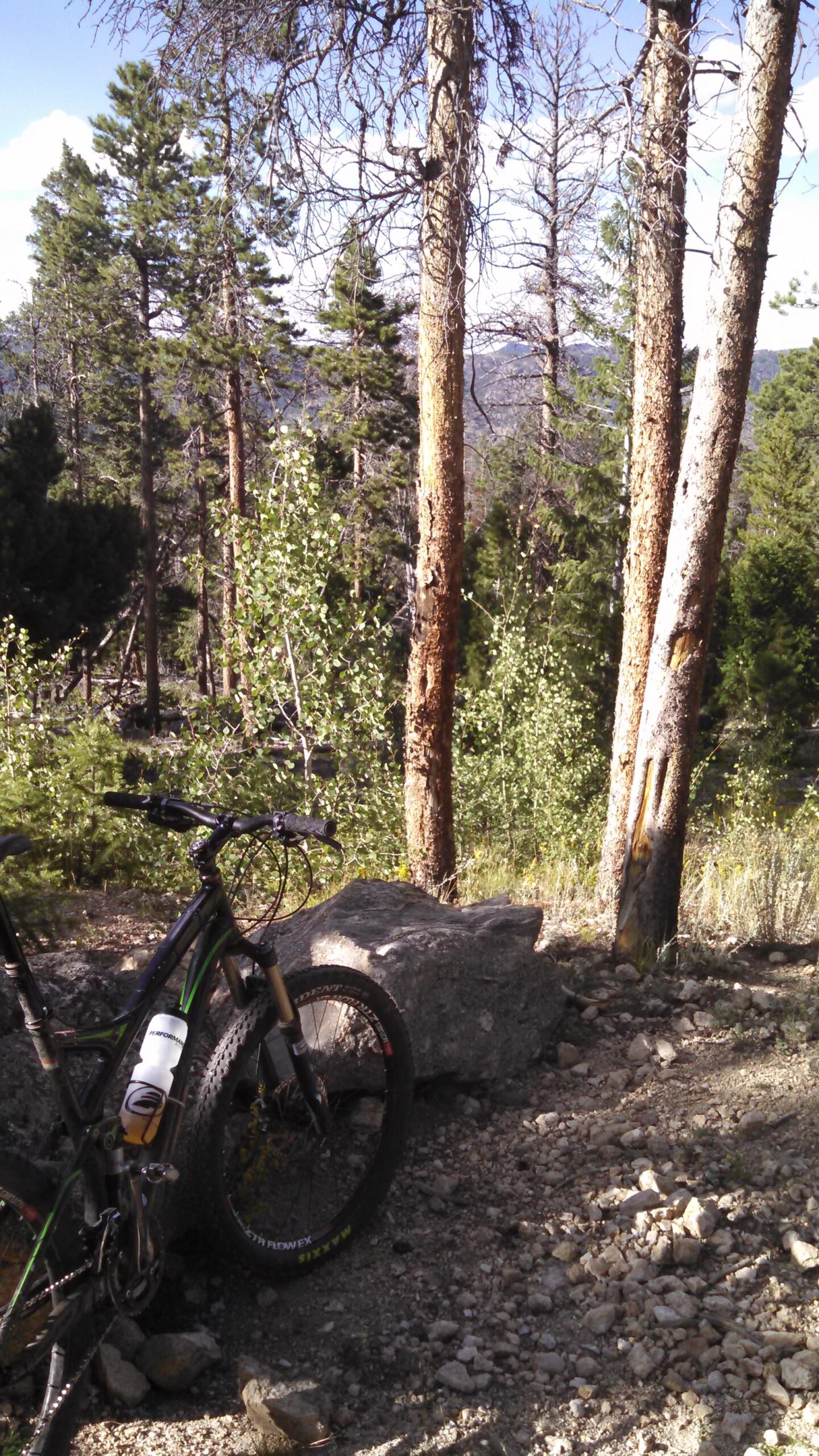 A mountain bike resting on a rocky surface surrounded by lush trees and greenery, with a scenic mountain view in the background under a clear sky. Dadd Gulch mountain bike trail.