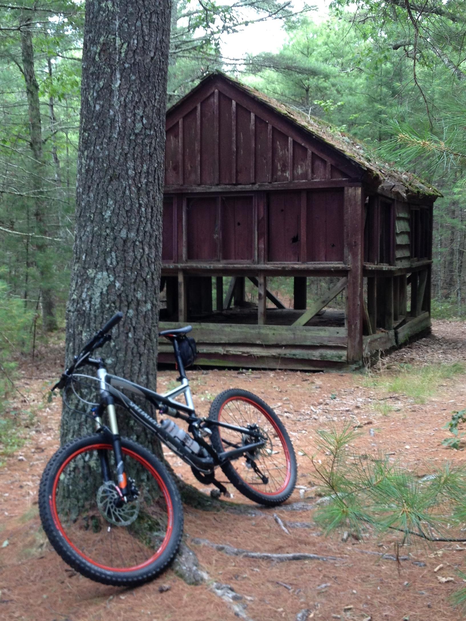 A mountain bike leaning against a tree in a wooded area, with a rustic red cabin in the background partially obscured by trees and foliage. The ground is covered in pine needles, indicating a natural setting. Arcadia State Park mountain bike trail.