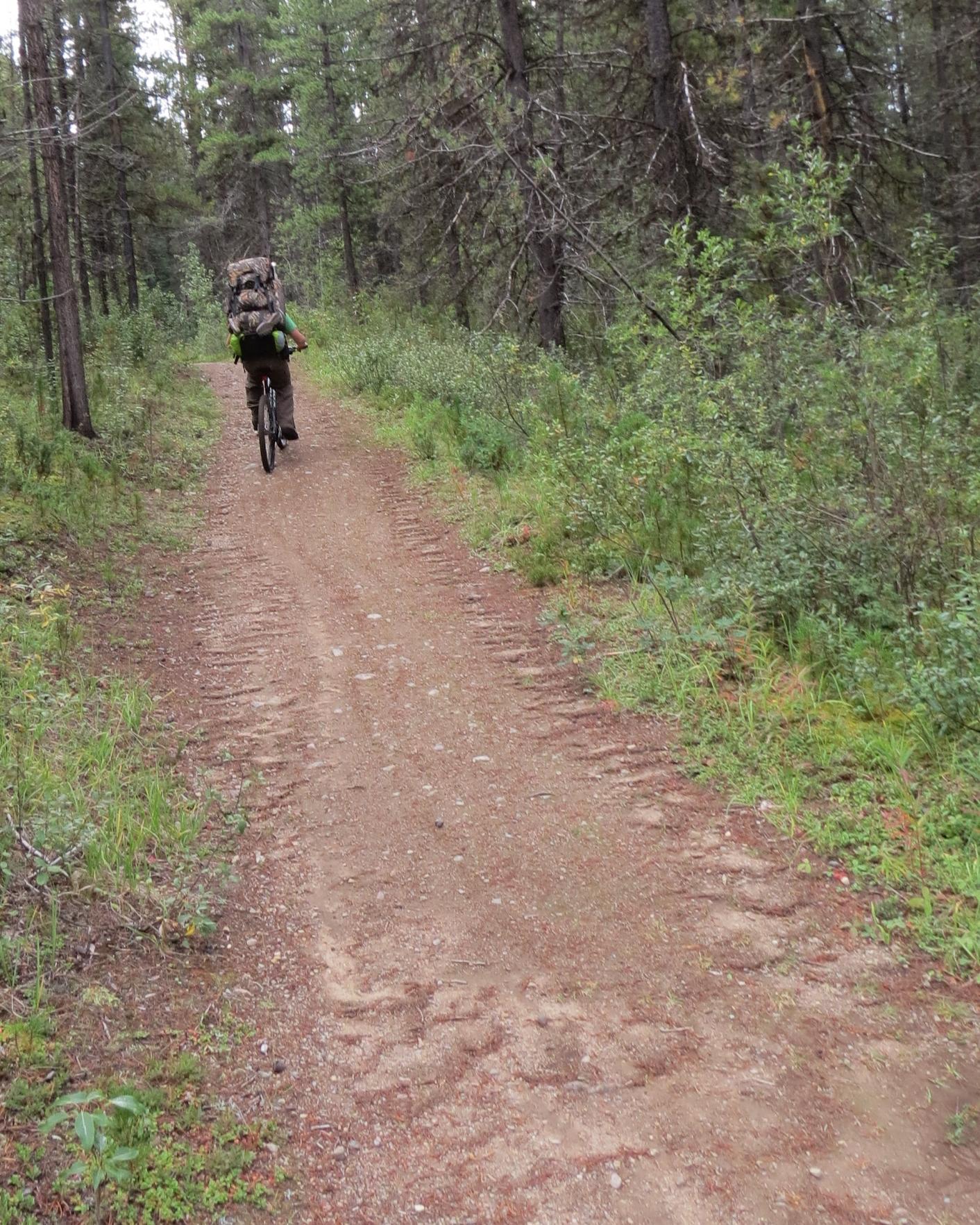 A person riding a bicycle along a dirt path in a wooded area, carrying a large backpack. Surrounding greenery and trees create a natural outdoor setting. Big Bend (Trail #126) mountain bike trail.