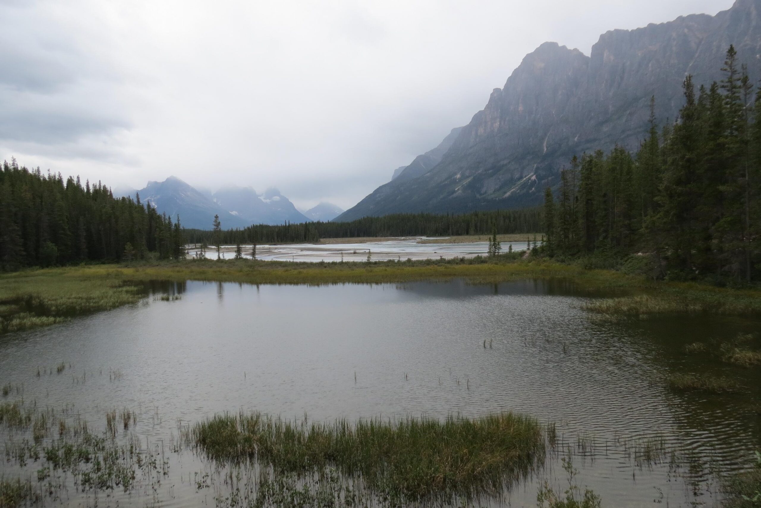 A tranquil landscape featuring a calm body of water surrounded by lush green vegetation, with towering mountains in the background under a cloudy sky. Big Bend (Trail #126) mountain bike trail.