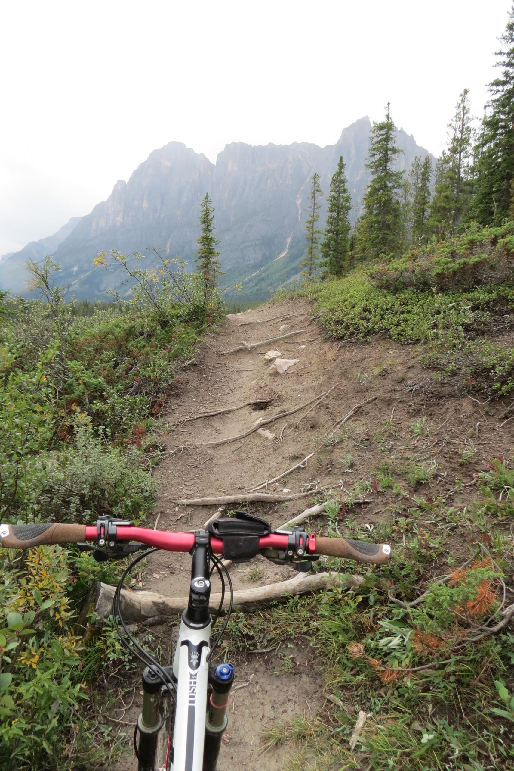 A mountain biker's view from the handlebars, overlooking a rugged dirt trail surrounded by greenery, with rocky mountains in the background under a cloudy sky. Big Bend (Trail #126) mountain bike trail.