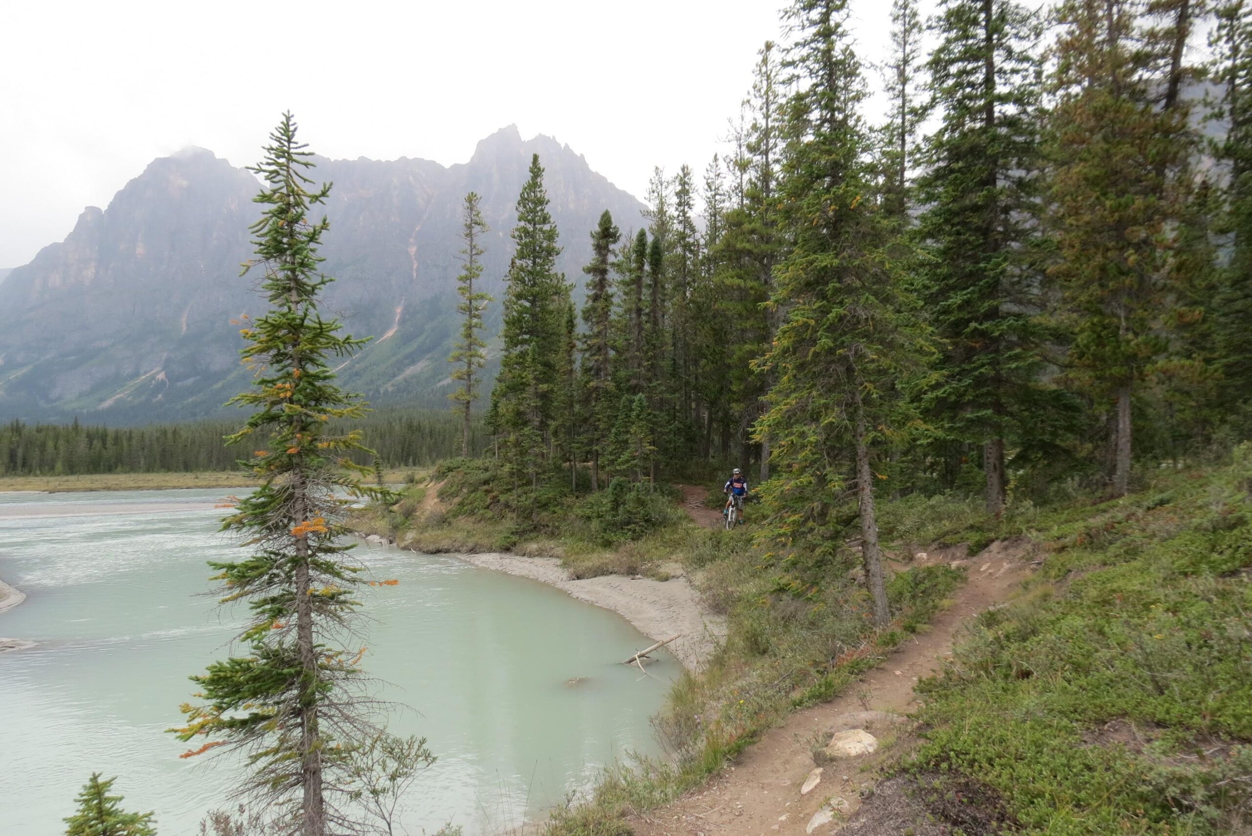 A serene landscape featuring a calm, light-blue river winding through a forest of evergreen trees, with rocky mountains in the background under a cloudy sky. A mountain biker can be seen on a dirt path along the riverbank. Big Bend (Trail #126) mountain bike trail.