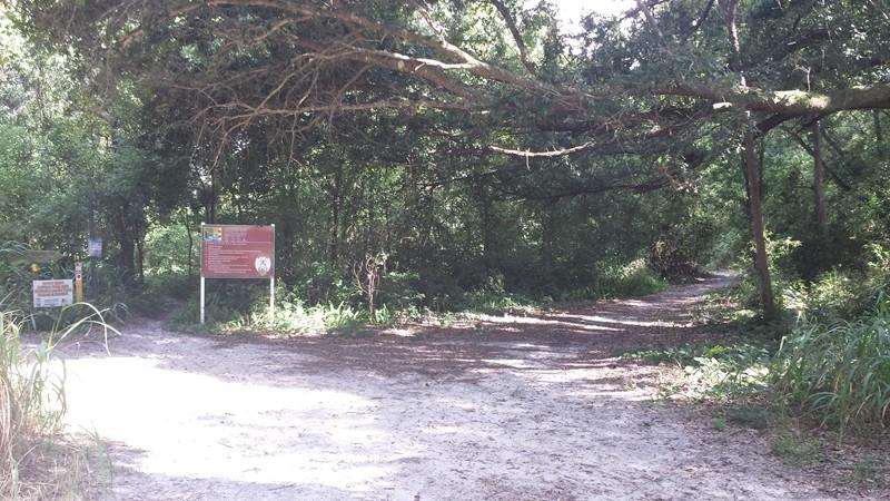 A dirt path leading into a dense green forest, with a signpost visible on the left. The area is partially shaded by overhanging branches, creating a natural entrance to the wooded area. Mount Dora Trail mountain bike trail.