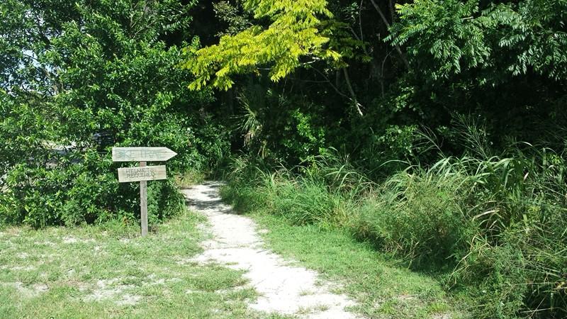 A sandy pathway leading into a lush green area, flanked by trees and tall grasses. There are two wooden signs indicating directions, one pointing towards "Hemingway." Sunlight filters through the foliage, creating a serene outdoor atmosphere. Mount Dora Trail mountain bike trail.