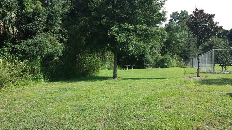 A grassy area in a park featuring a large tree on the left side, surrounded by dense greenery. In the background, there are picnic tables, and a fenced section can be seen on the right. The scene is illuminated by sunlight, creating a serene outdoor setting. Mount Dora Trail mountain bike trail.