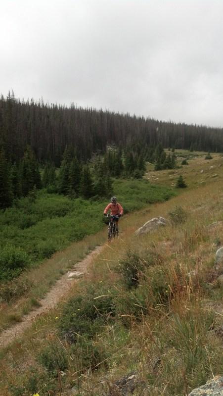 A mountain biker riding along a dirt trail surrounded by lush greenery and coniferous trees, with a cloudy sky overhead. Centennial Snowy Range Loop #1 mountain bike trail.