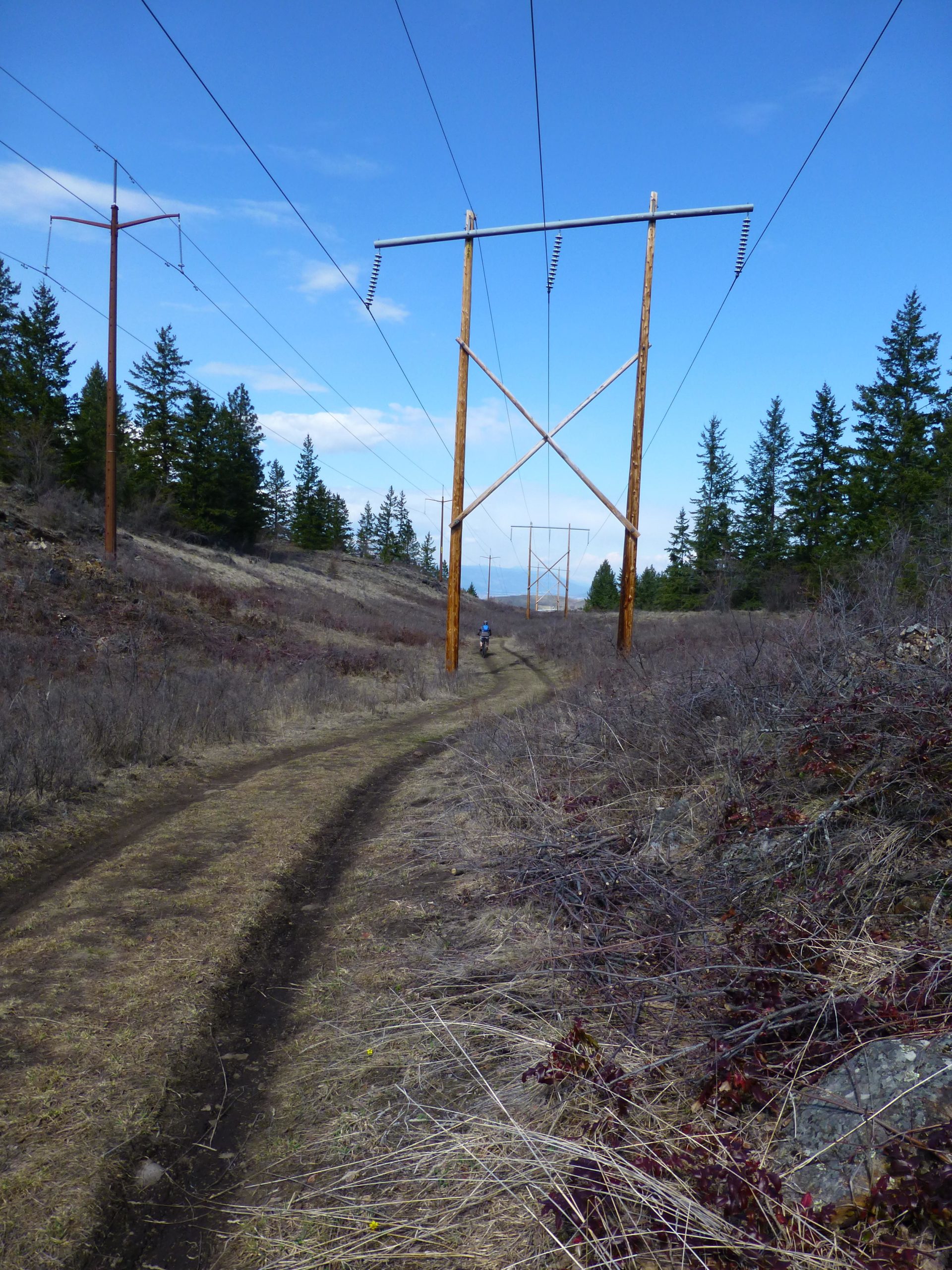 A dirt path curving through a grassy area, flanked by wooden electricity poles and power lines. In the background, evergreen trees rise against a partly cloudy blue sky. A small figure is visible walking along the path. Kalamalka Lake Provincial Park mountain bike trail.