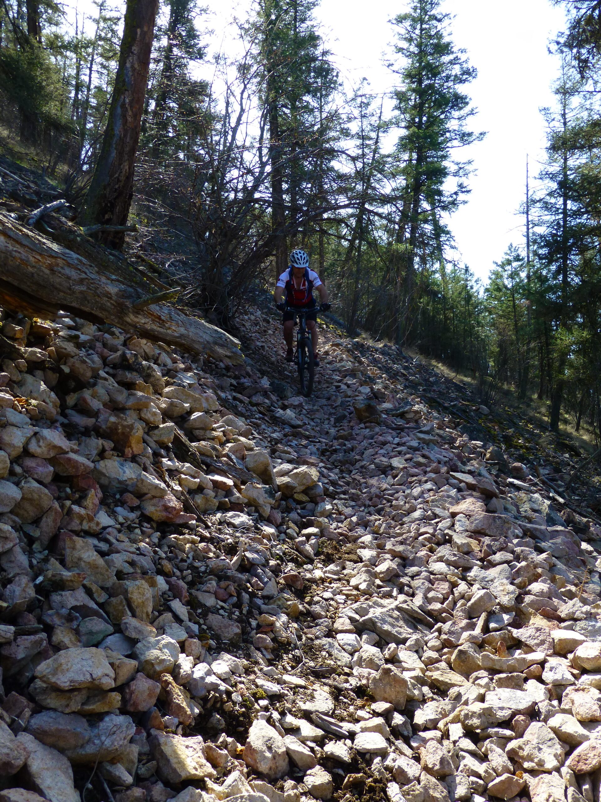 A mountain biker navigates a rocky trail surrounded by trees on a sunny day. The path is lined with large stones and boulders, creating a challenging biking environment. Ellison Park mountain bike trail.