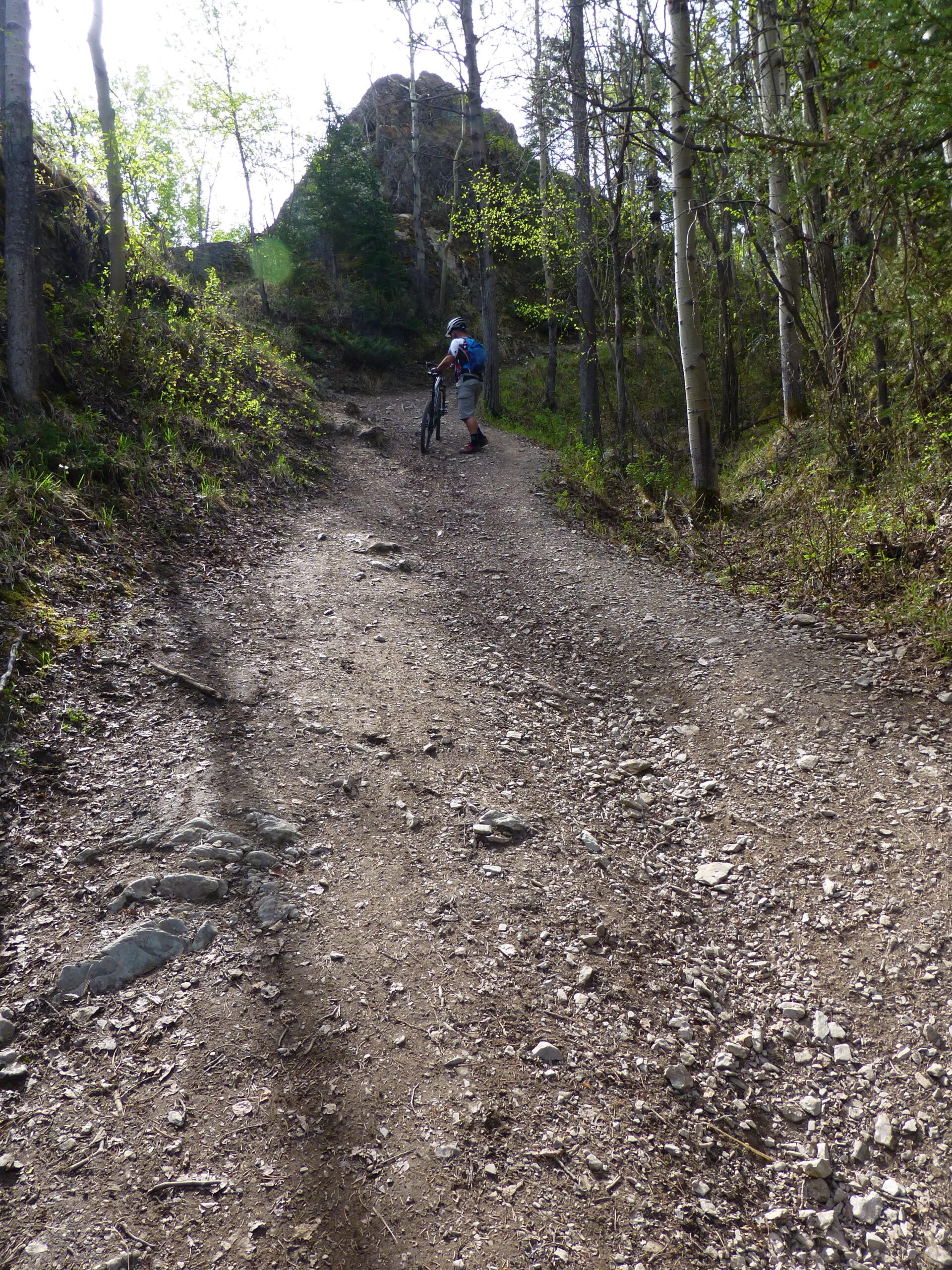 A cyclist pushing a mountain bike up a rocky trail surrounded by trees and greenery in a sunlit forest setting. Big Sweat (Valley of the Five Lakes / Wabasso) mountain bike trail.