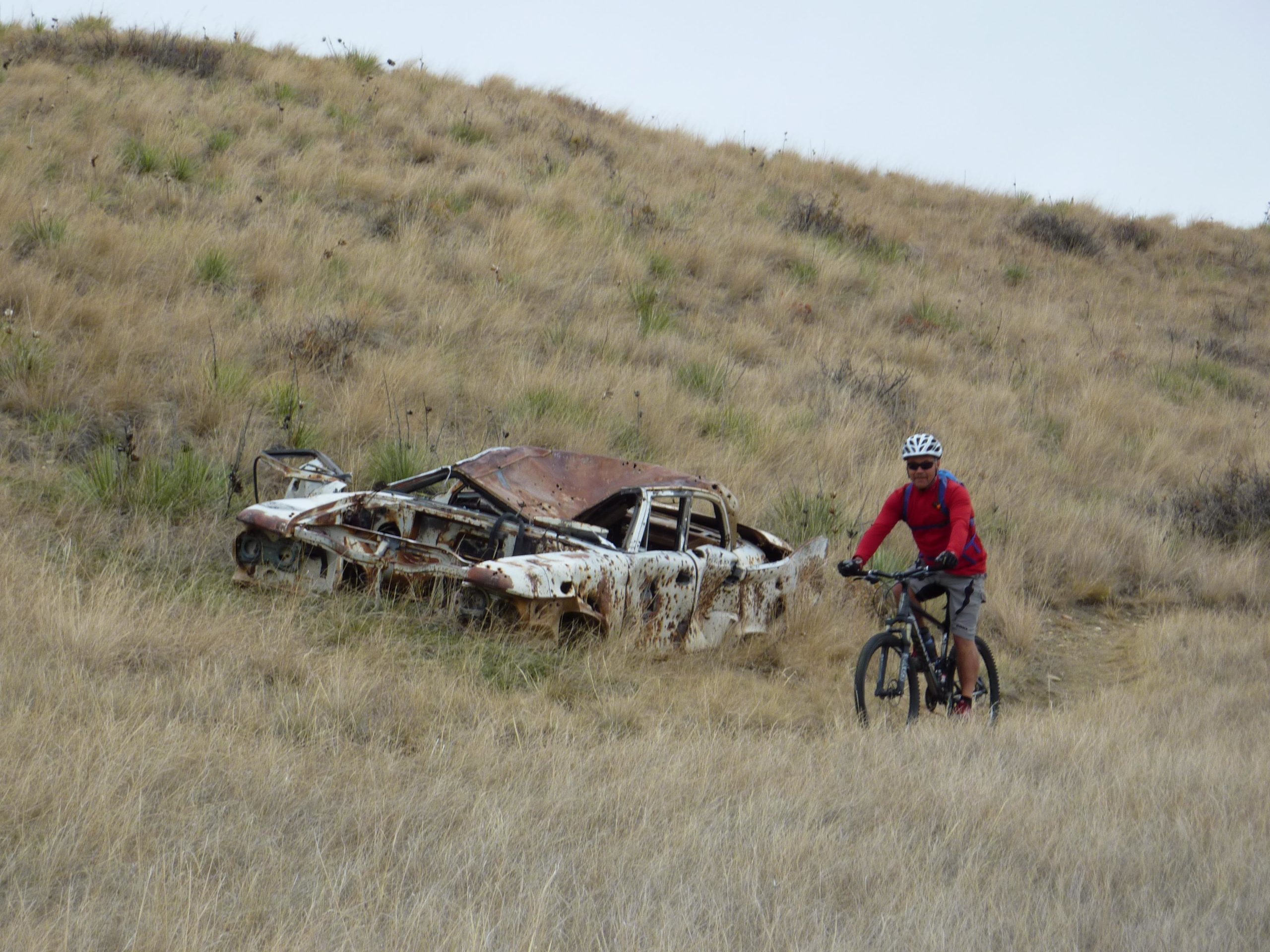 A cyclist in a red long-sleeve shirt and helmet rides a mountain bike along a grassy landscape, with an old, rusted car partially hidden in the tall grass nearby. The scene captures a blend of nature and abandoned machinery. North Shore mountain bike trail.