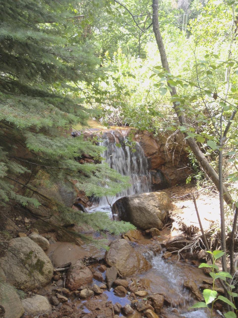 A serene scene of a small waterfall cascading over rocks into a stream, surrounded by lush greenery, including trees and foliage. The sunlight filters through the leaves, creating a peaceful, natural setting. Paul Intemann Memorial Trail mountain bike trail.