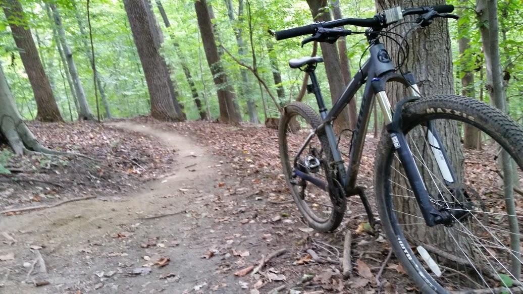 Kona Kahuna: Mountain bike parked beside a dirt trail in a dense forest, surrounded by tall trees and fallen leaves.