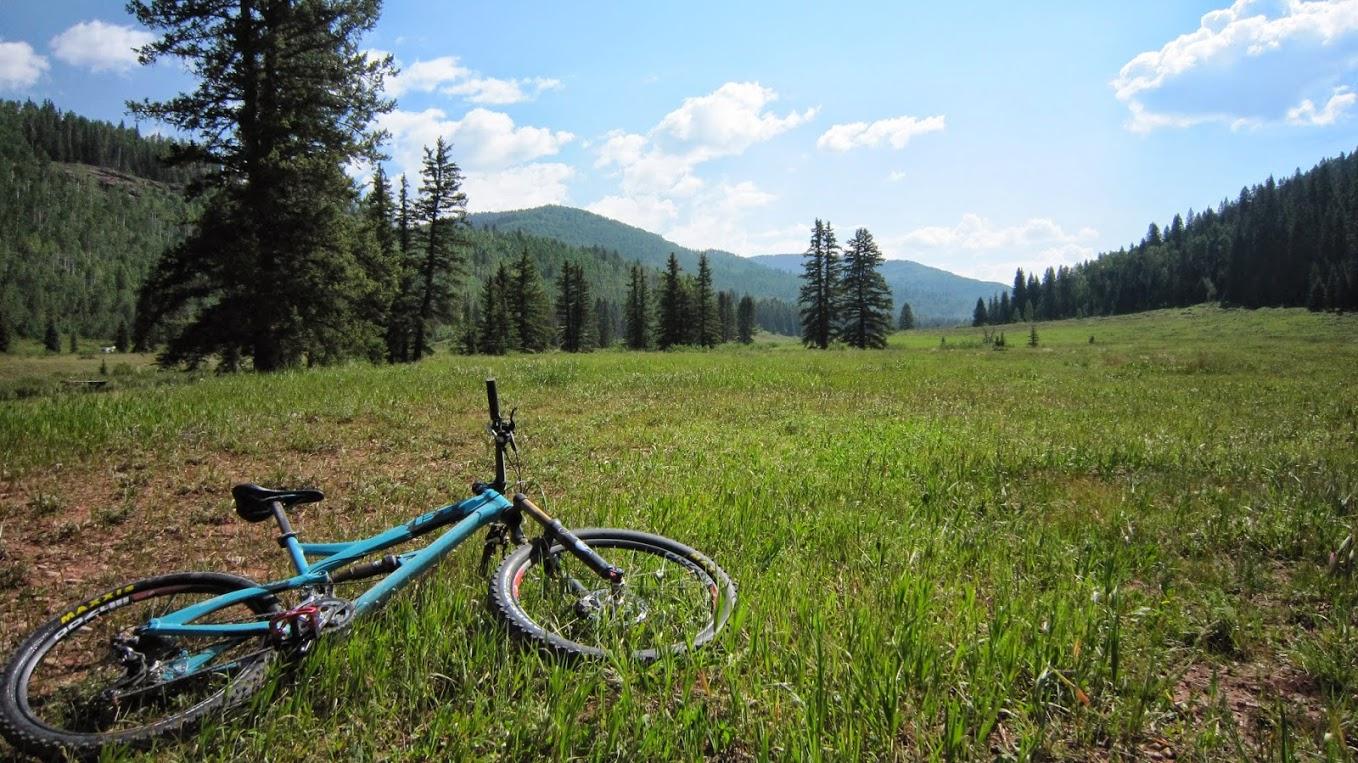 Yeti SB66: A mountain bike lying on lush green grass in a scenic, open meadow surrounded by tall trees and mountains under a blue sky with scattered clouds.