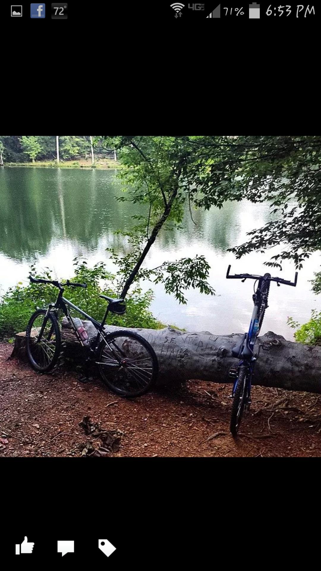 Trek 4500: Two bicycles are resting against a fallen log by a calm lake, surrounded by lush greenery and trees. The scene captures a peaceful outdoor setting, with the water reflecting the surrounding foliage. The ground is covered in gravel and dirt, suggesting a natural area suitable for biking and relaxation.