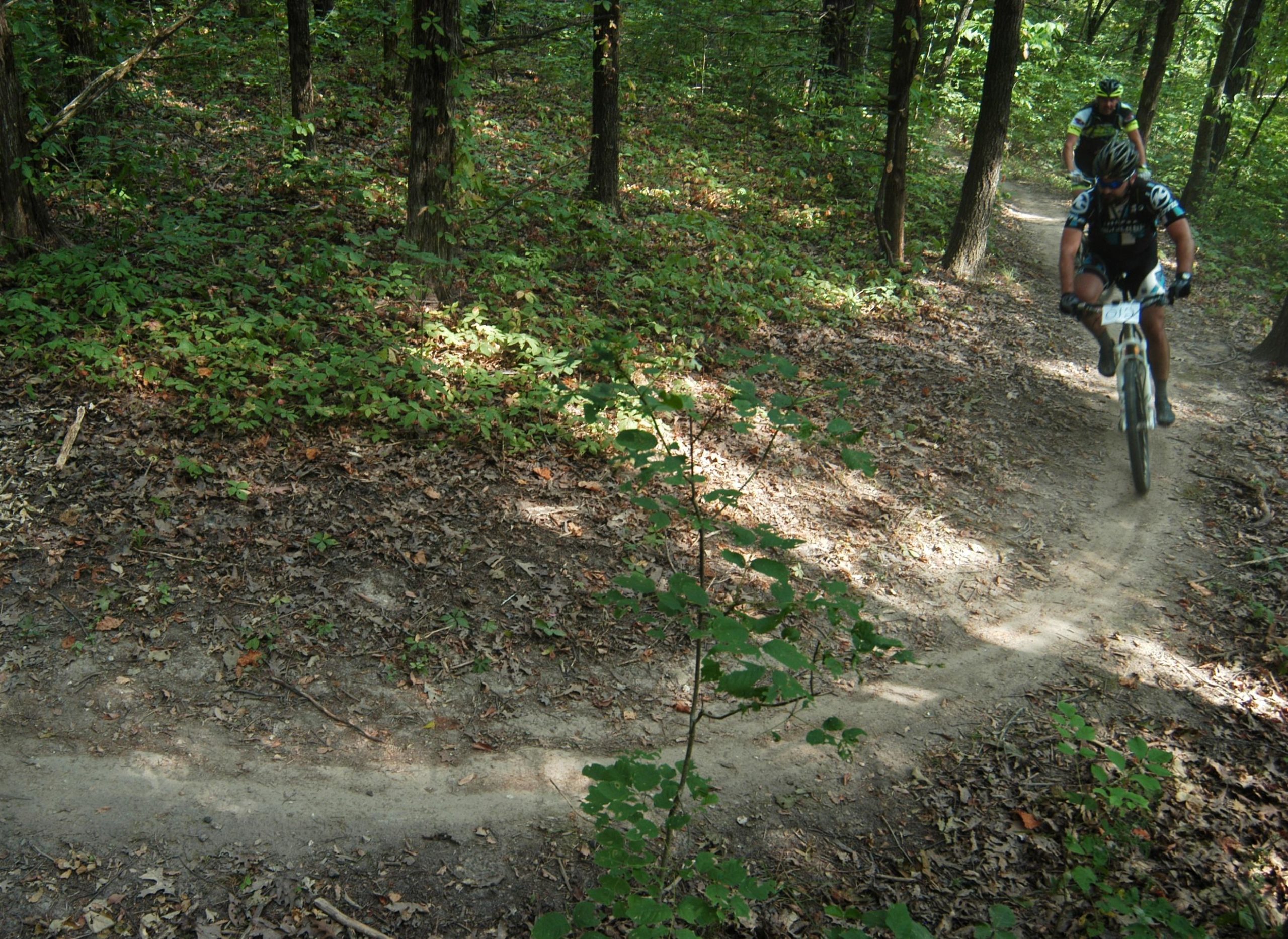 A mountain biker navigating a winding trail in a lush, green forest, with sunlight filtering through the trees. Binder Lake mountain bike trail.