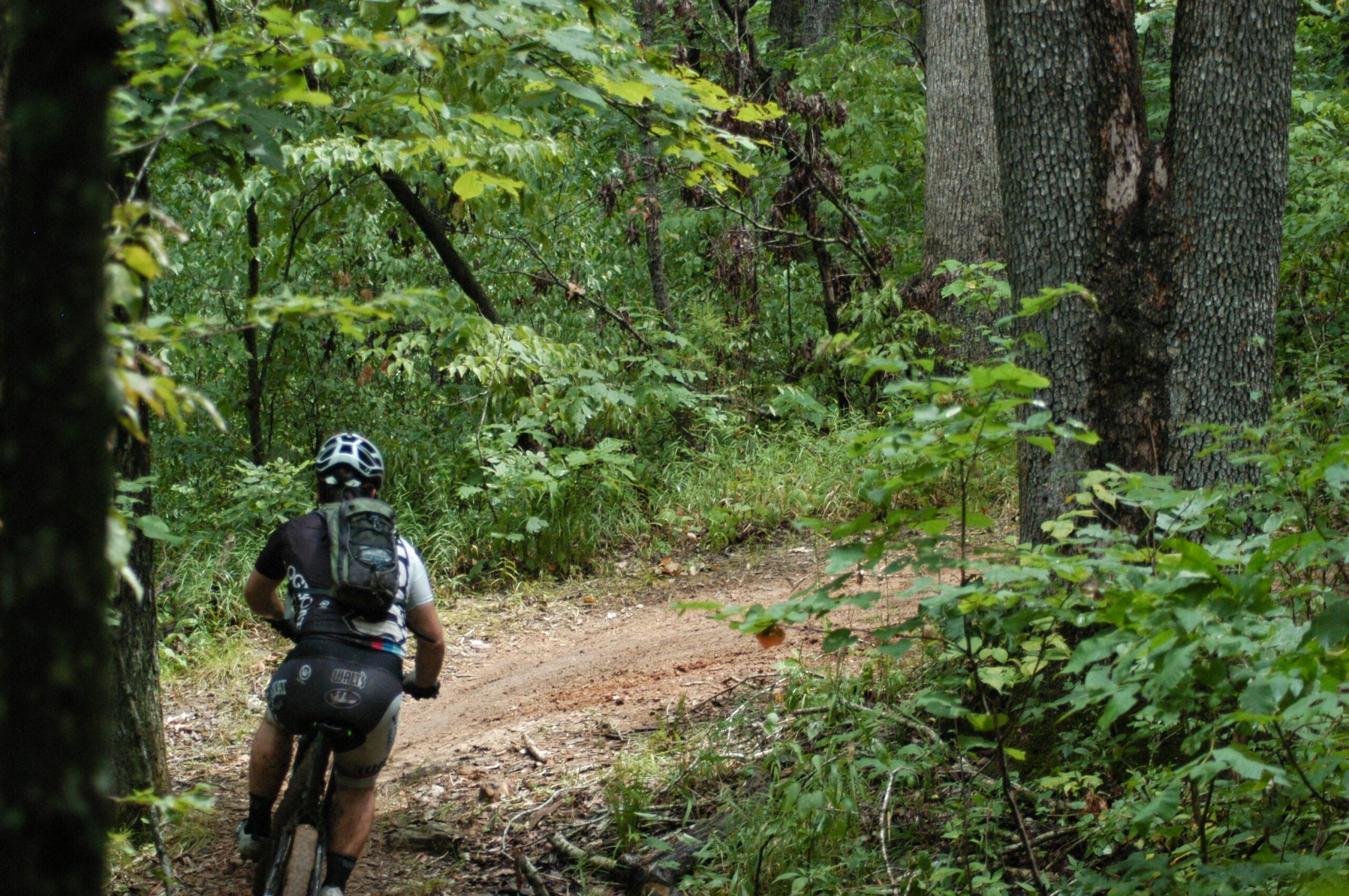 A cyclist navigating a dirt path through a lush, green forest, with trees and ferns surrounding the trail. The rider is wearing a helmet and a backpack, focused on the winding route ahead. Binder Lake mountain bike trail.