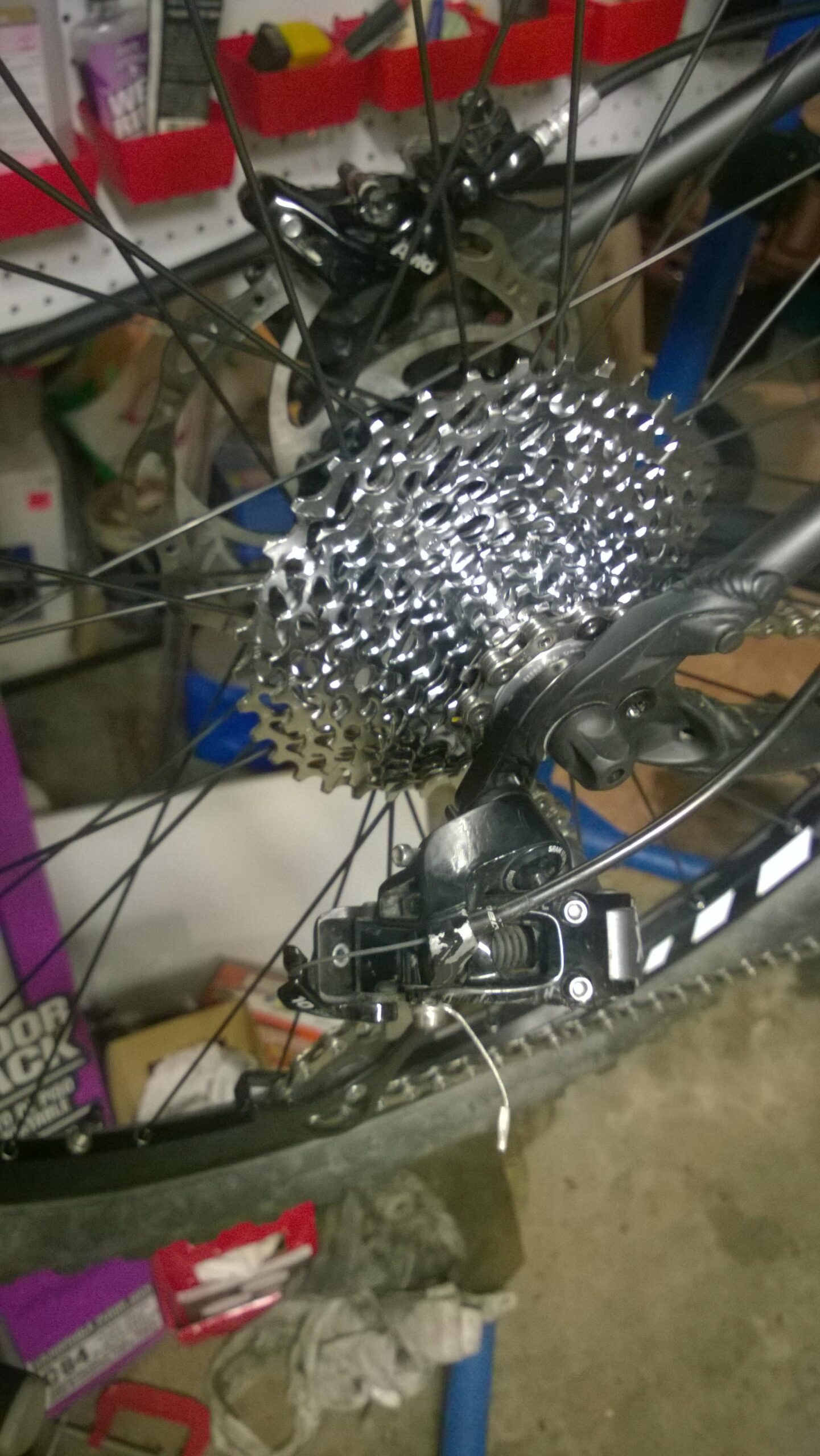 Specialized Rockhopper Pro EVO 29: Close-up view of a bicycle's rear cassette and derailleur, located in a cluttered workshop. The shiny, metallic cassette is attached to the rear wheel, surrounded by bicycle spokes and tools in the background.