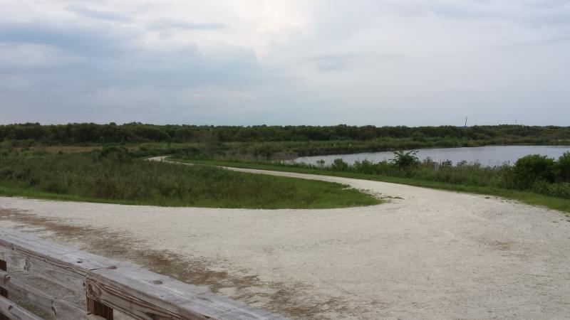 A scenic view of a natural landscape featuring winding paths leading towards a body of water, surrounded by green vegetation and trees, under a cloudy sky. The foreground includes a wooden railing. Lake Apopka Restoration Area mountain bike trail.