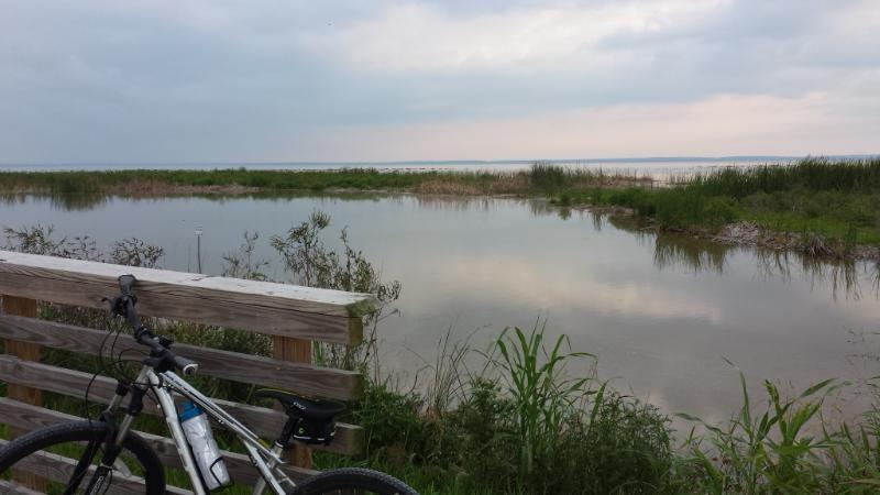 A serene landscape featuring a calm body of water reflecting the sky, surrounded by lush greenery and tall grasses. In the foreground, a bicycle leans against a wooden railing, indicating a peaceful outdoor setting, possibly near a nature trail or park. The sky is overcast, adding a tranquil atmosphere to the scene. Lake Apopka Restoration Area mountain bike trail.