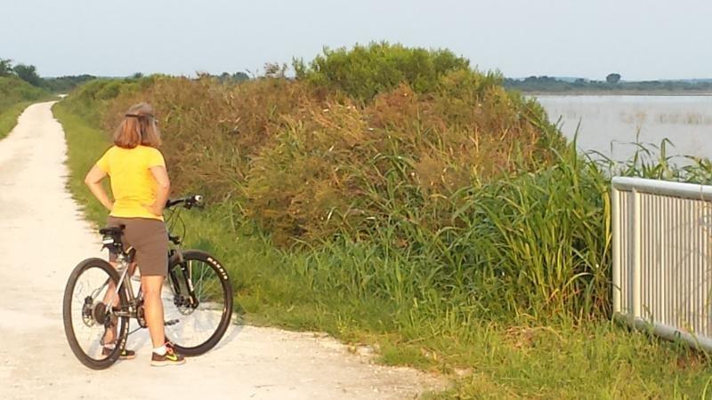 A woman in a yellow shirt and shorts stands next to her bicycle on a dirt path, looking out over a body of water surrounded by lush greenery. The sun is shining, creating a serene outdoor setting. Lake Apopka Restoration Area mountain bike trail.